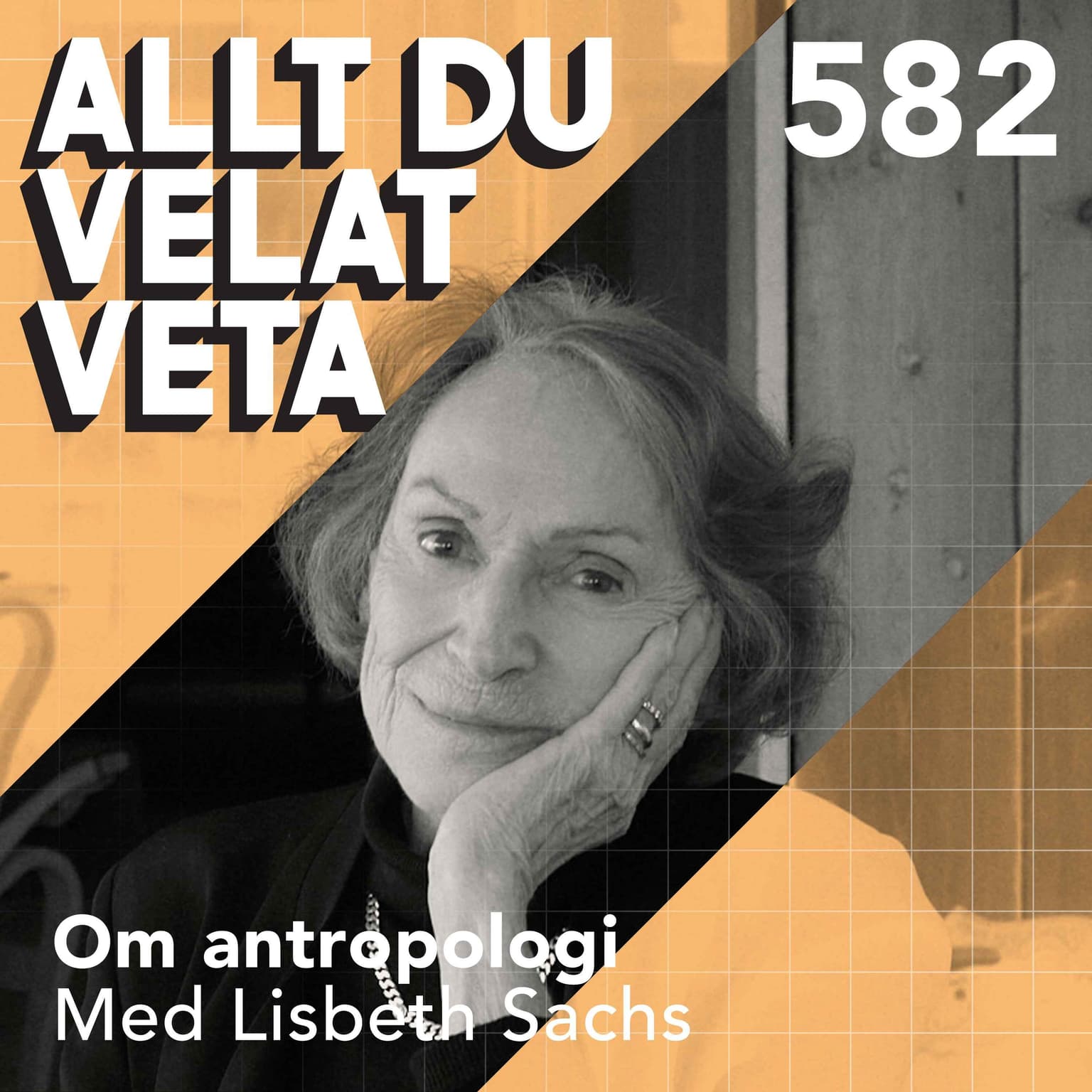 582 Om antropologi med Lisbeth Sachs artwork