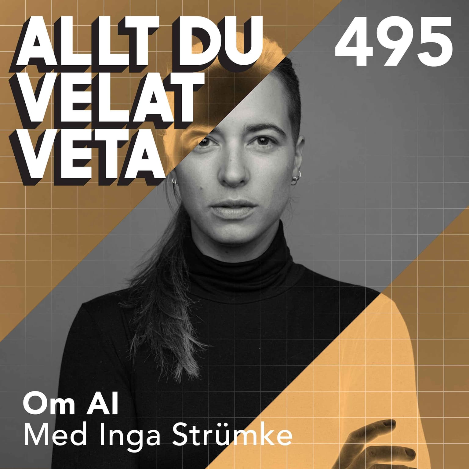 495 Om AI med Inga Strümke artwork