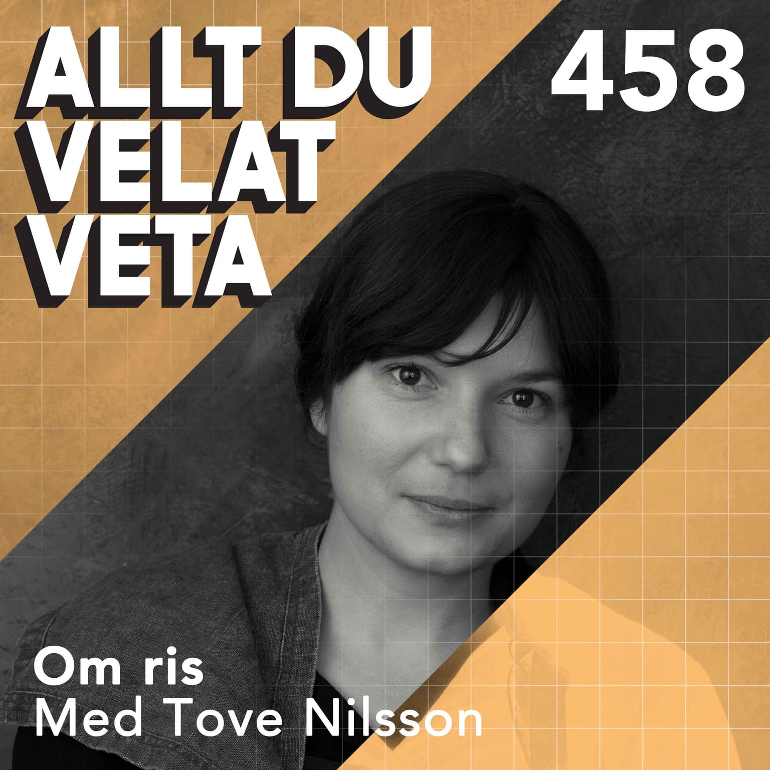 458 Om ris med Tove Nilsson artwork