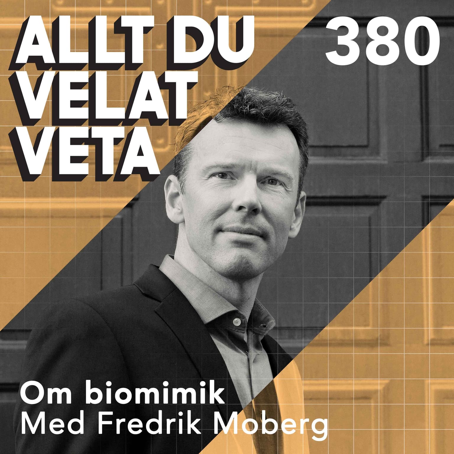 380 Om biomimik med Fredrik Moberg artwork
