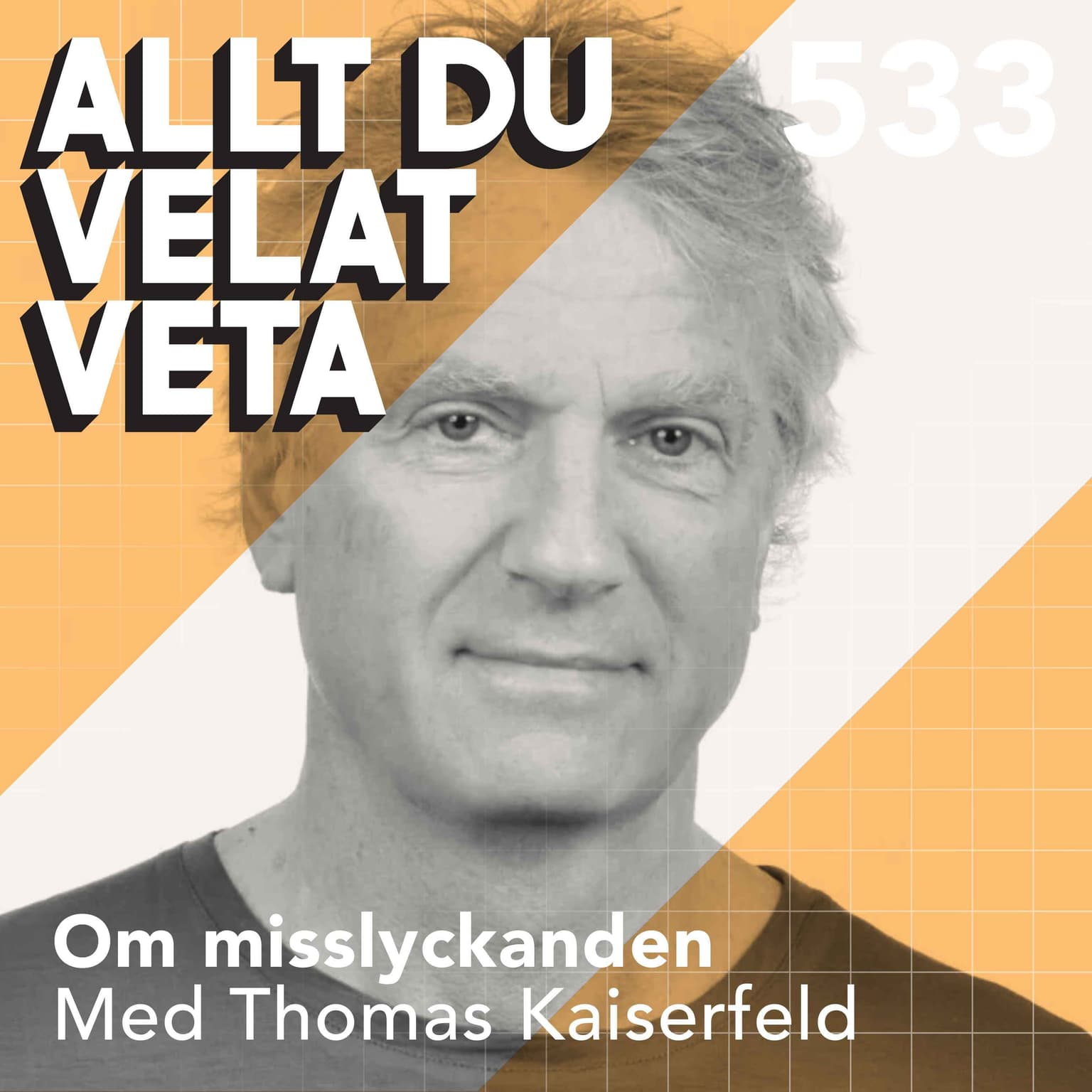 533 Om misslyckanden med Thomas Kaiserfeld artwork
