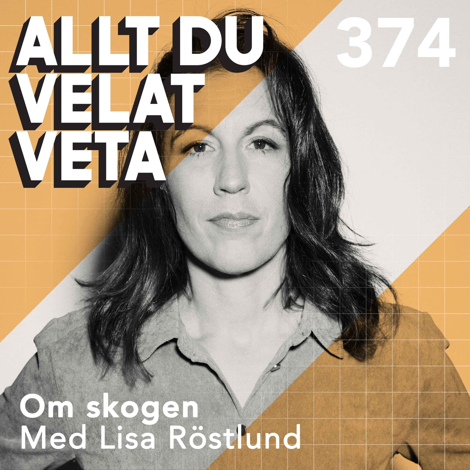 374 Om skogen med Lisa Röstlund artwork