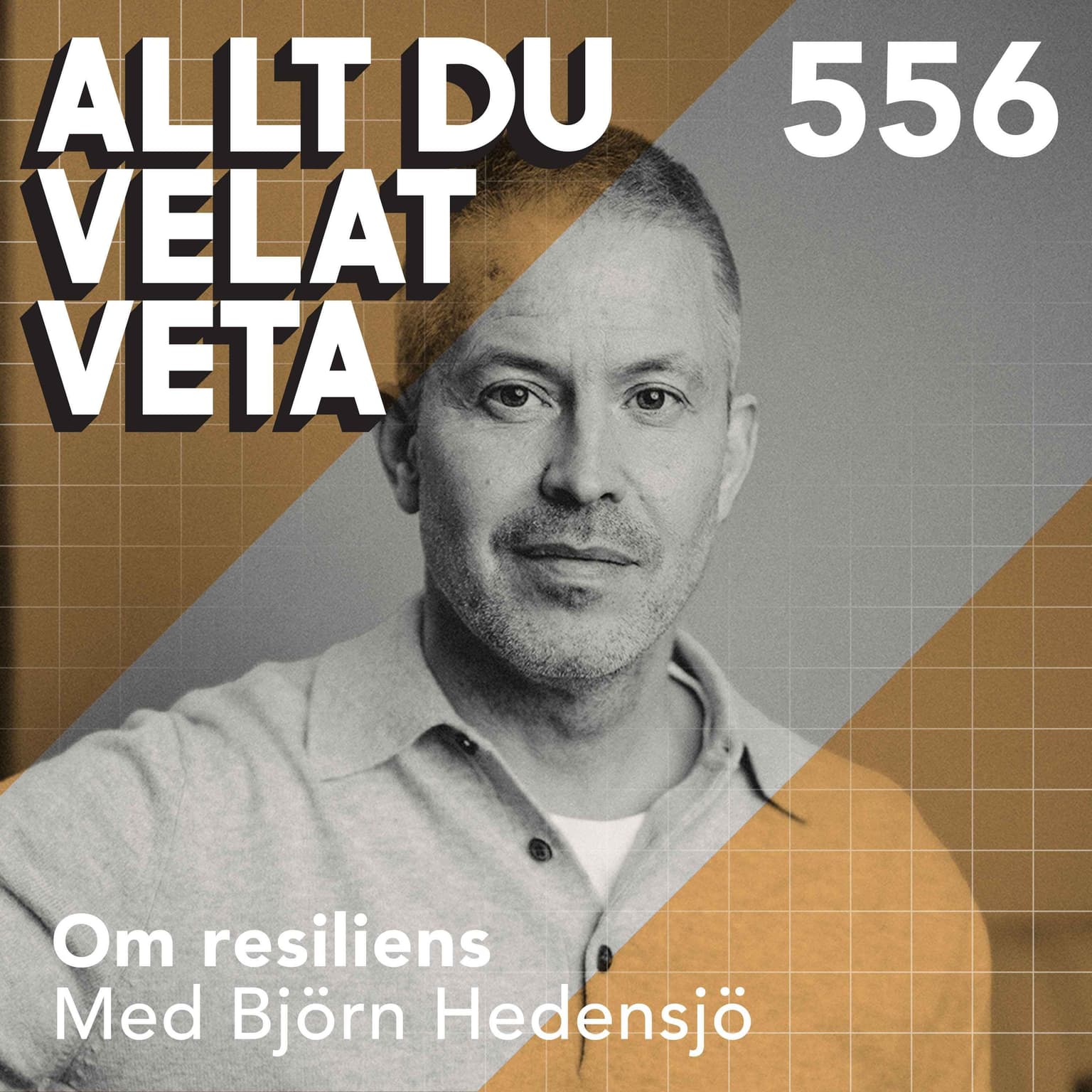 556 Om resiliens med Björn Hedensjö artwork