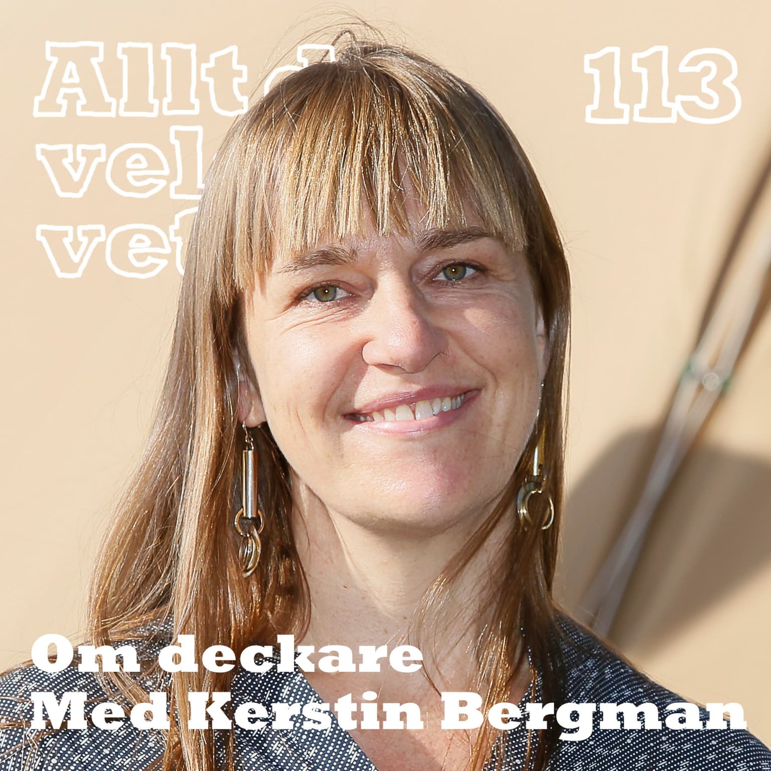 113 Om deckare med Kerstin Bergman artwork