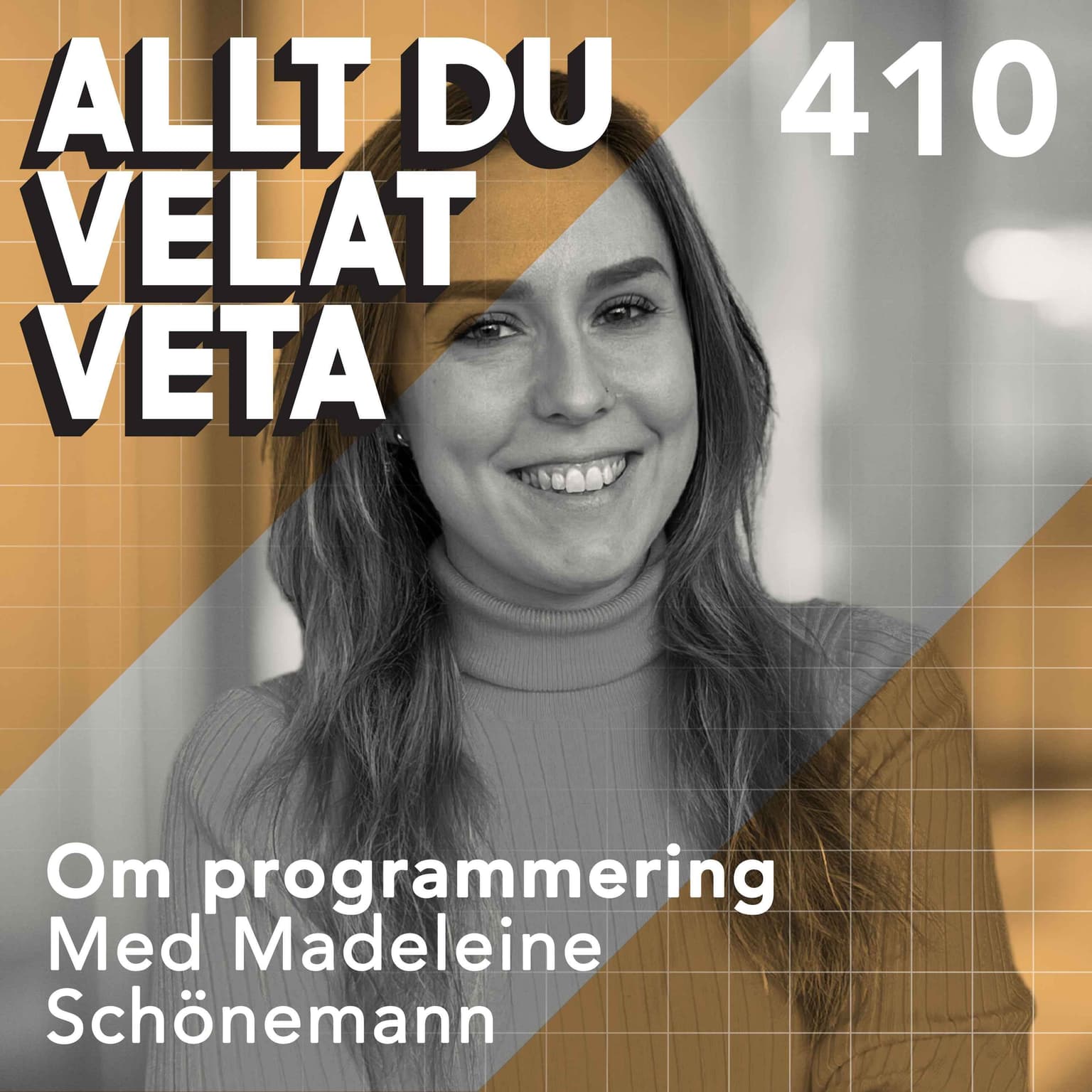 410 Om programmering med Madeleine Schönemann artwork