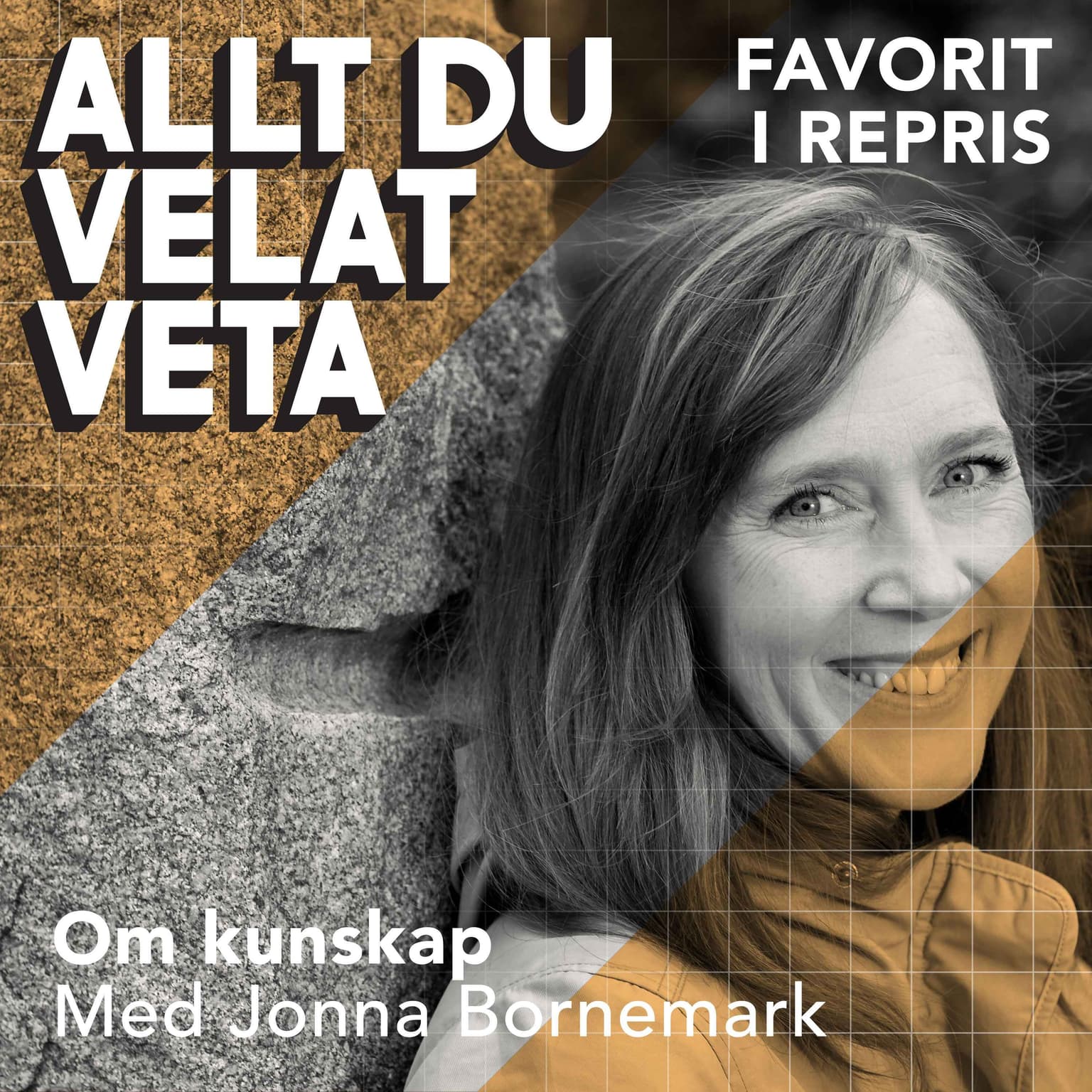 Om kunskap med Jonna Bornemark (repris) artwork
