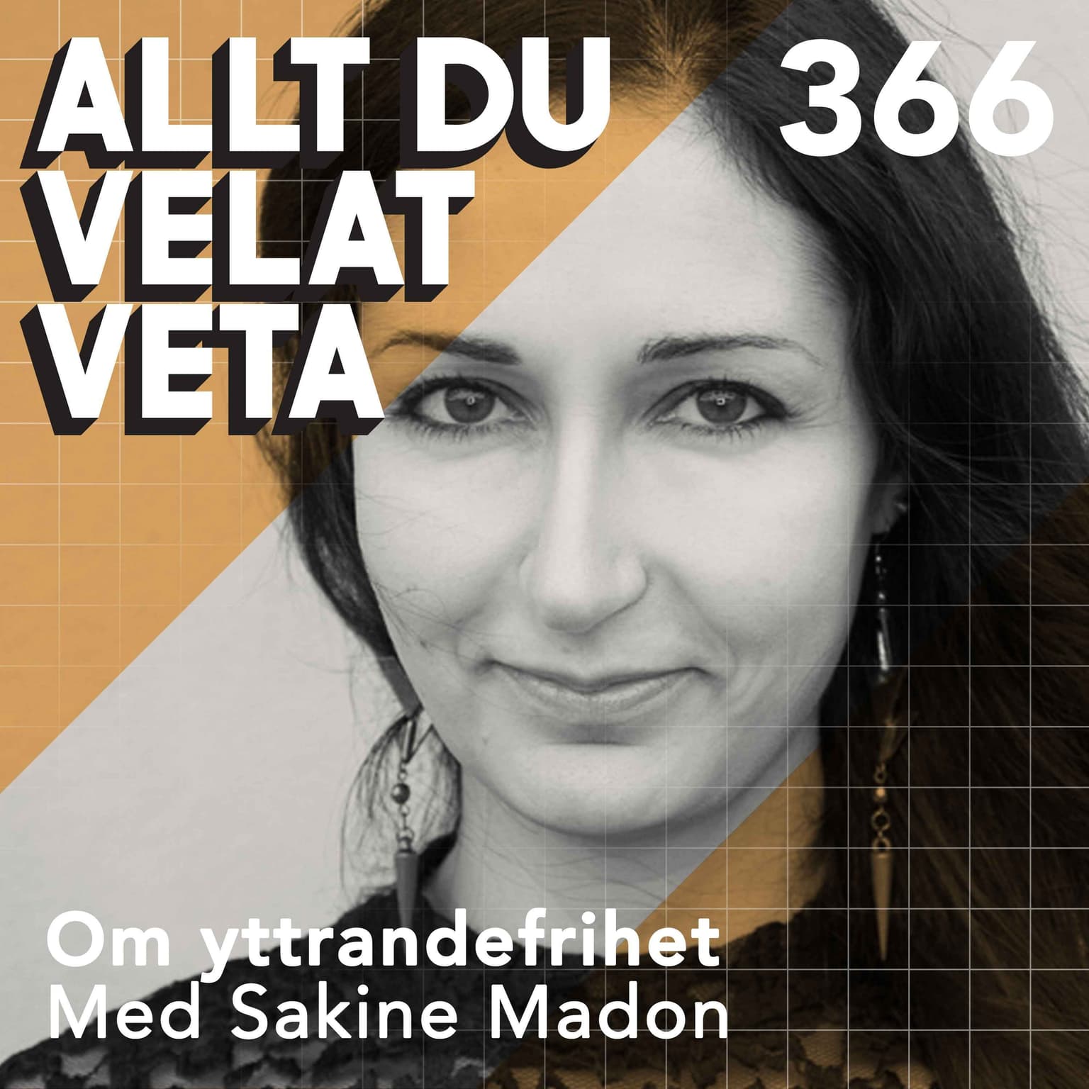 366 Om yttrandefrihet med Sakine Madon artwork