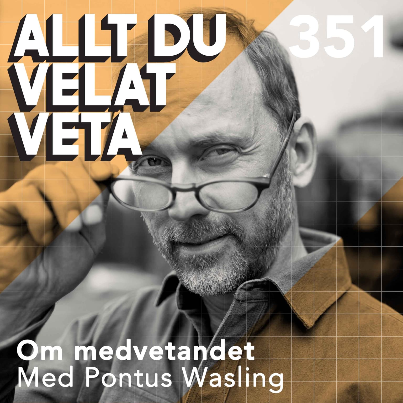 351 Om medvetandet med Pontus Wasling artwork