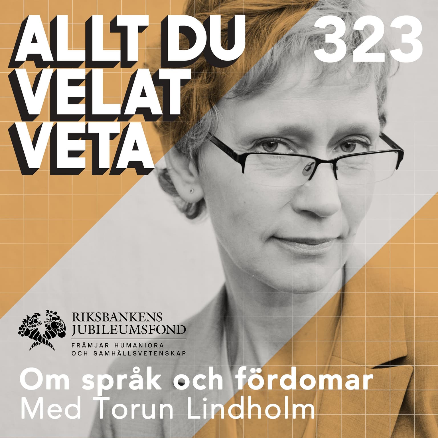 323 Om språk och fördomar med Torun Lindholm artwork