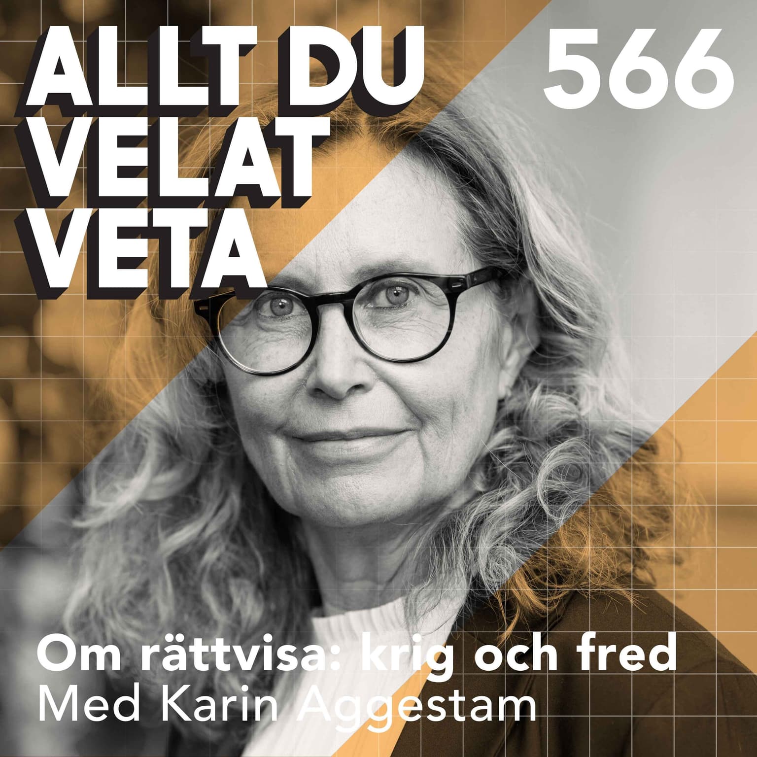566 Om rättvisa: krig och fred med Karin Aggestam artwork