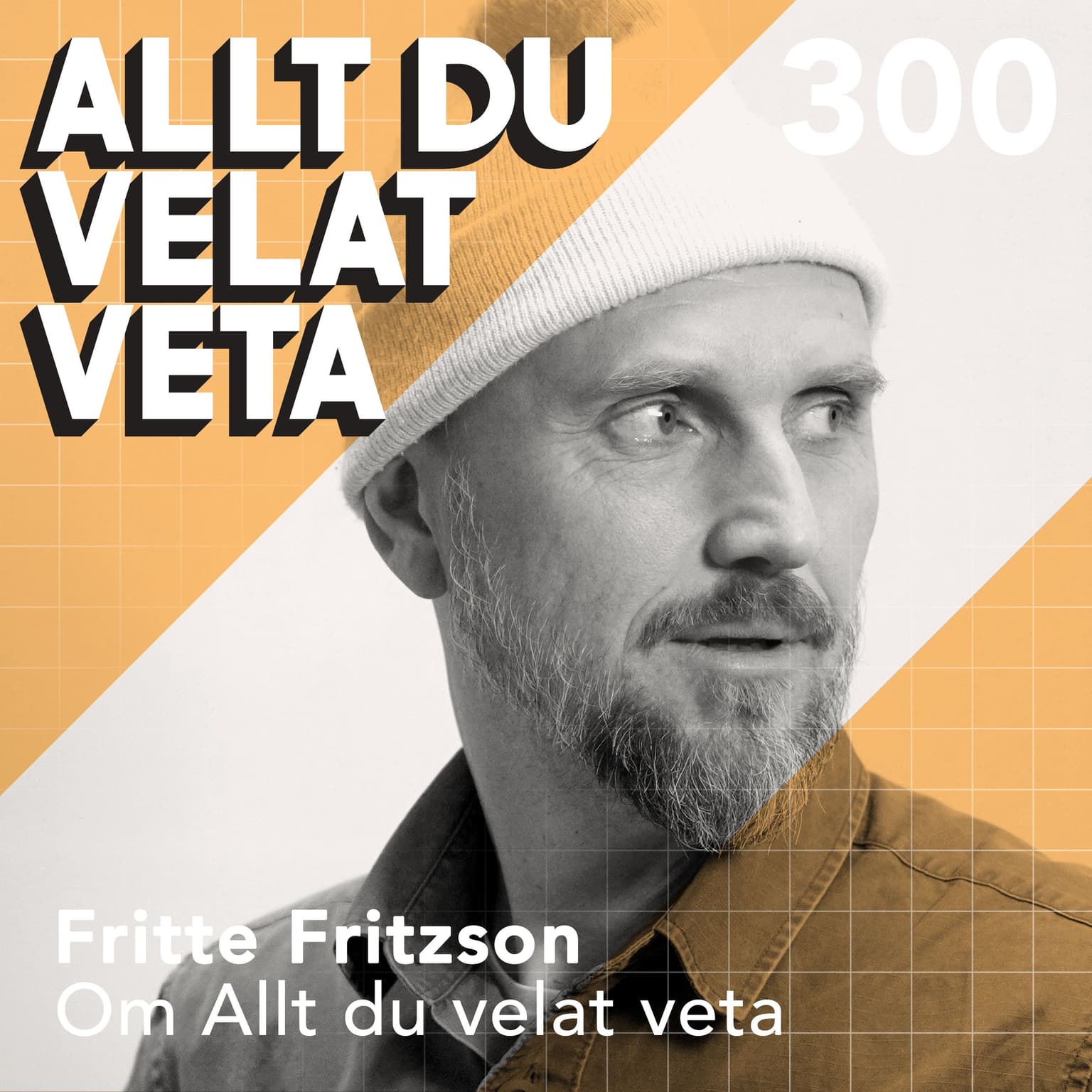 300 Om Allt du velat veta med Fritte Fritzson artwork
