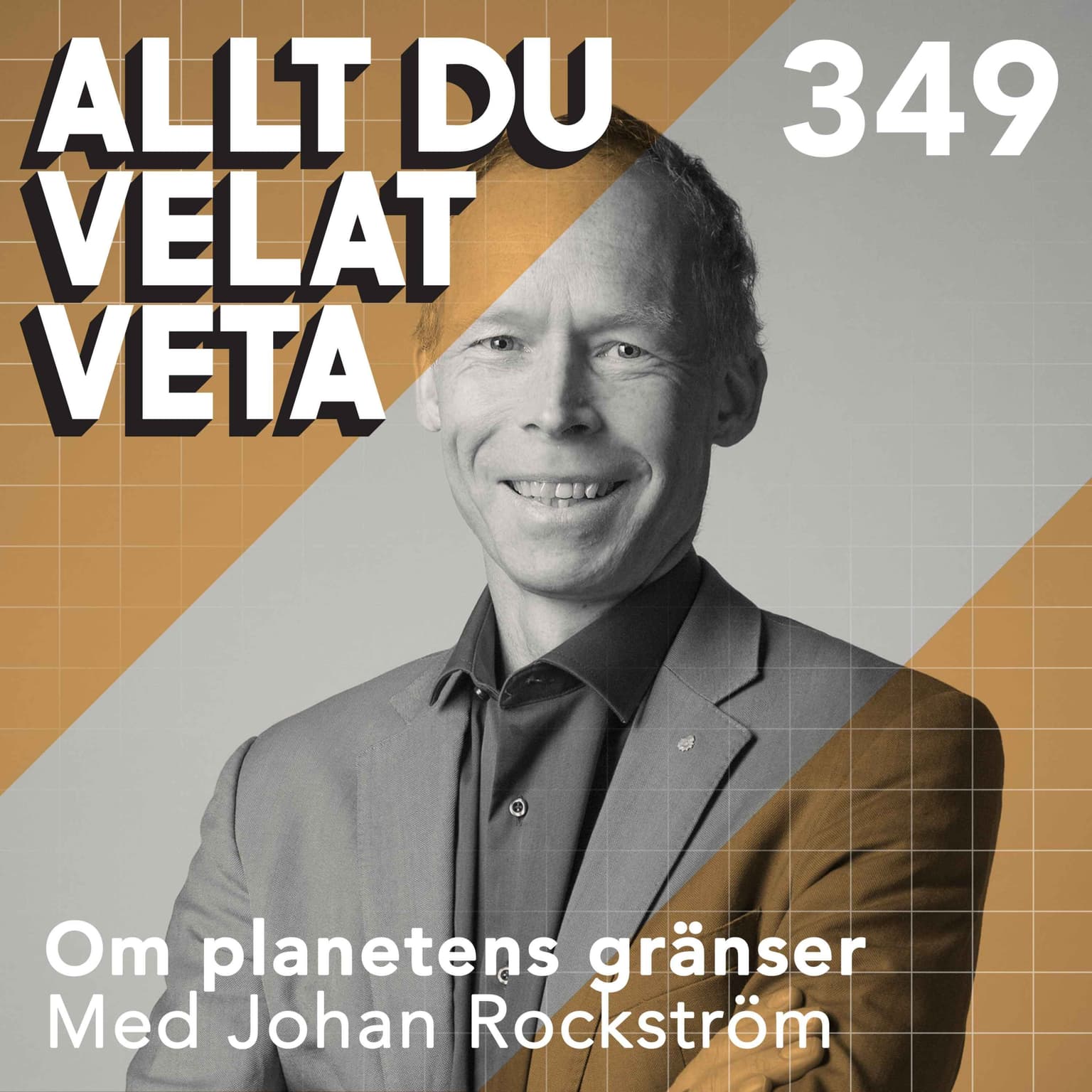 349 Om planetens gränser med Johan Rockström artwork