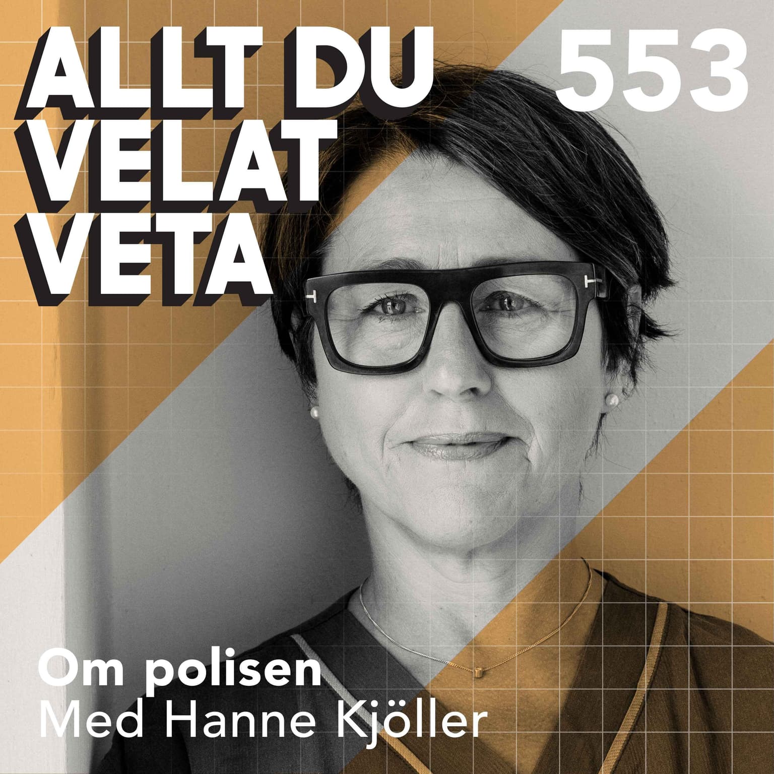 553 Om polisen med Hanne Kjöller artwork