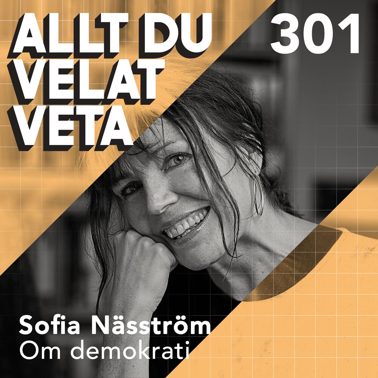 301 Om demokrati med Sofia Näsström artwork
