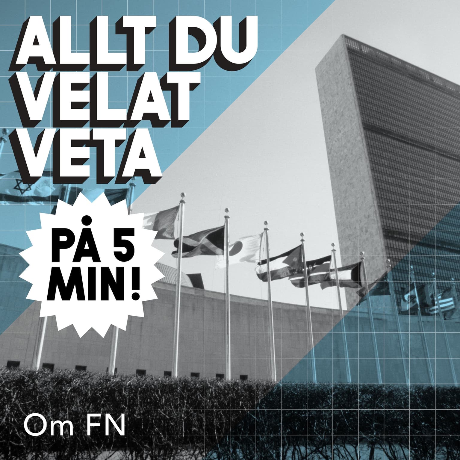 5 minuter om FN artwork