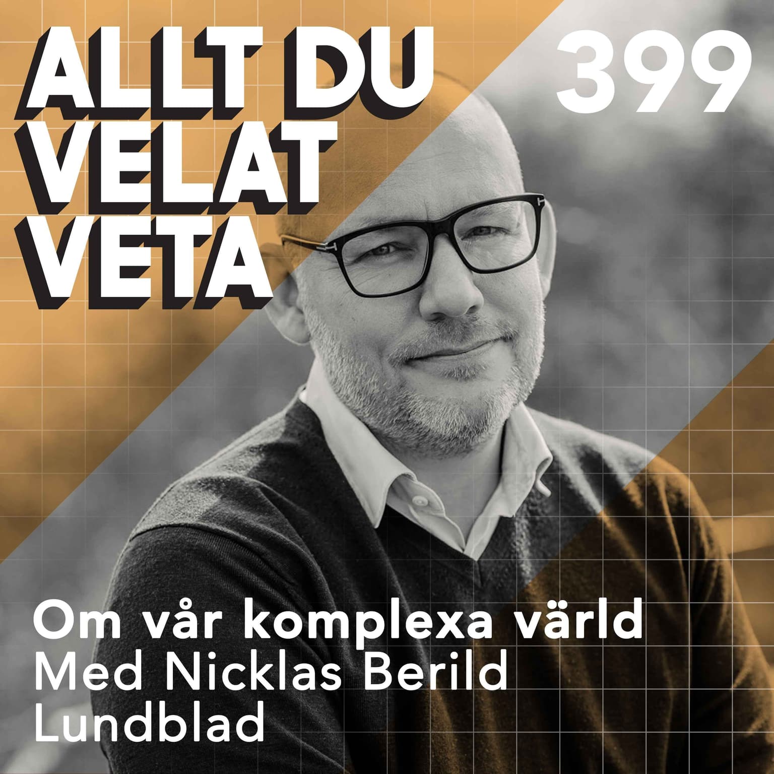 399 Om vår komplexa värld med Nicklas Berild Lundblad artwork
