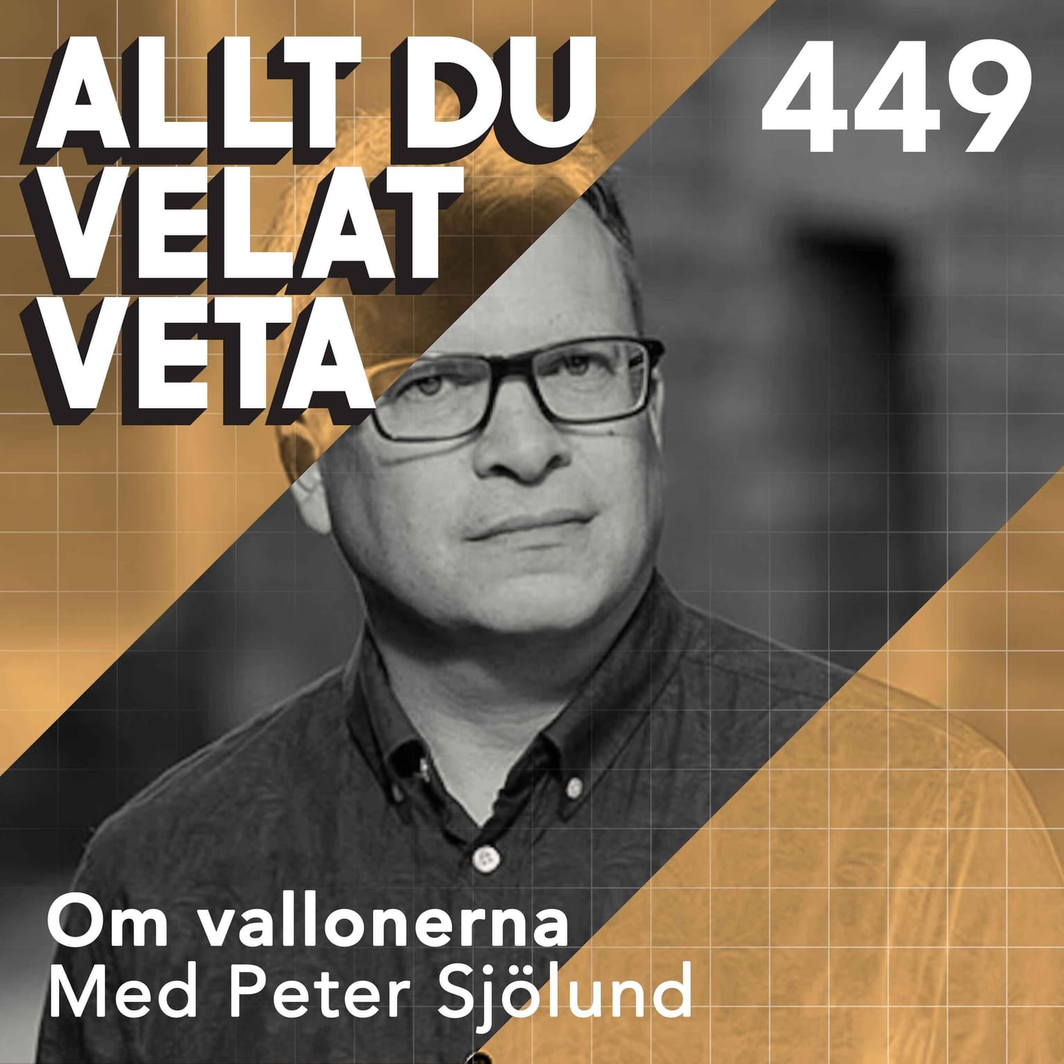 449 Om valloner med Peter Sjölund artwork