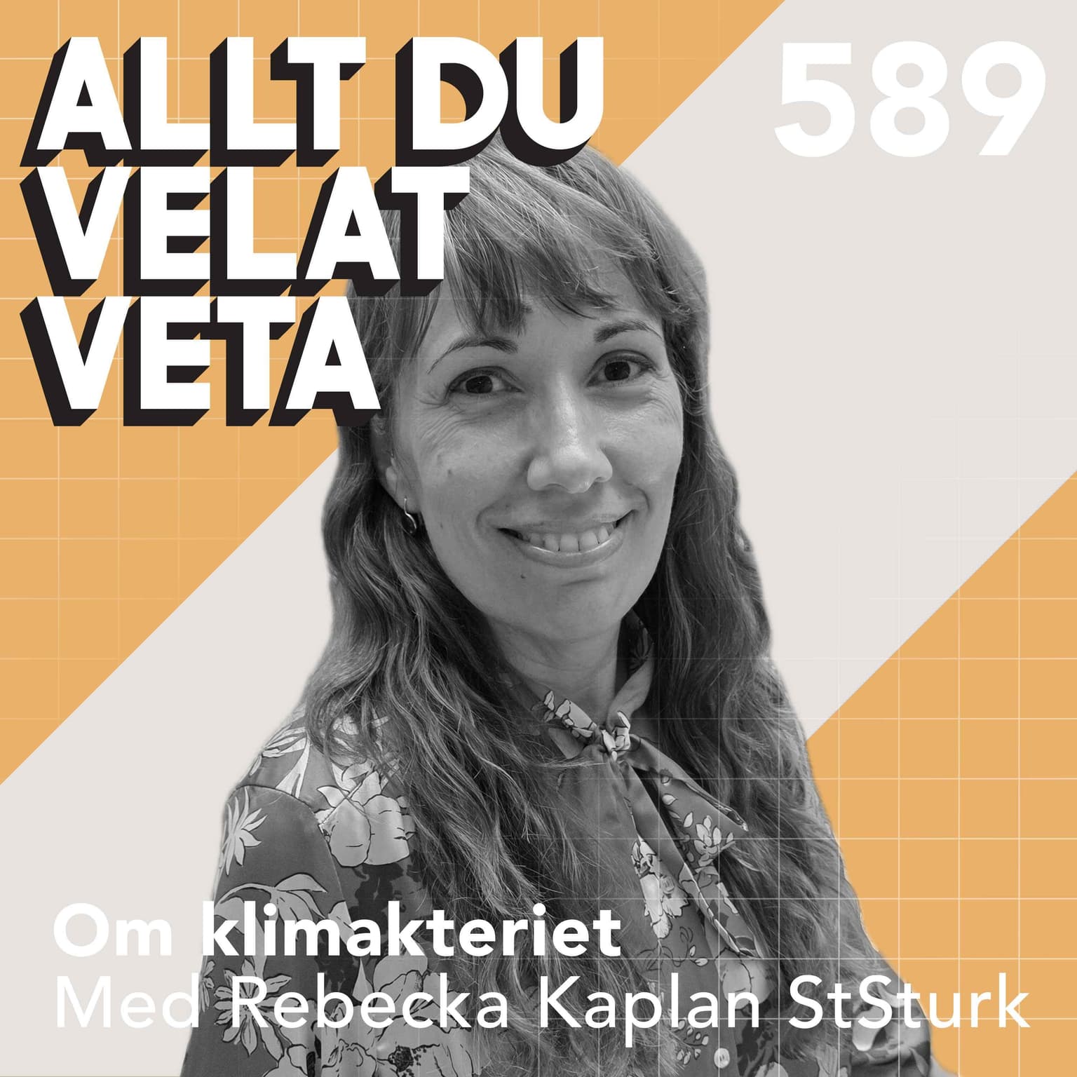 589 Om klimakteriet med Rebecka Kaplan Sturk artwork