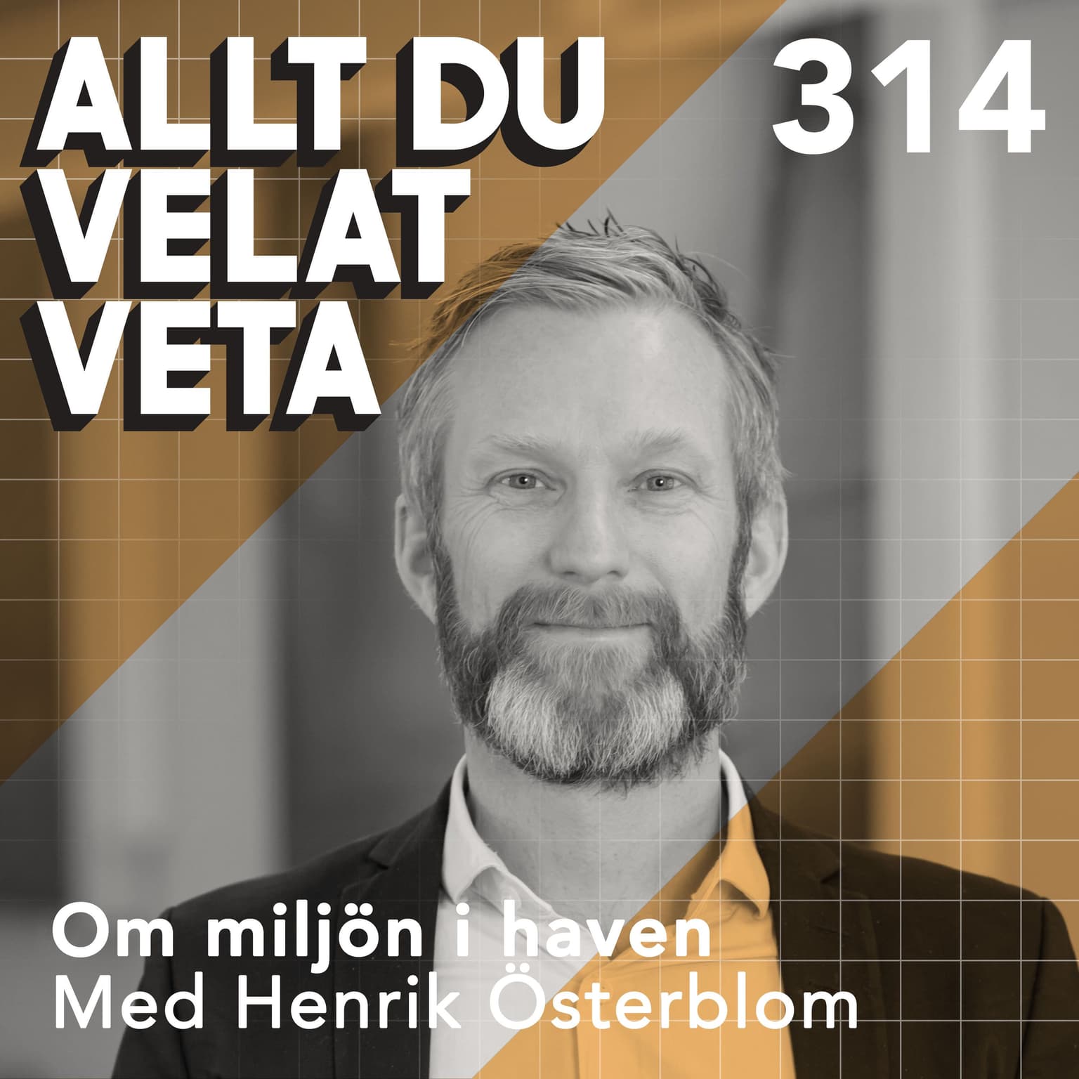 314 Om miljön i haven artwork