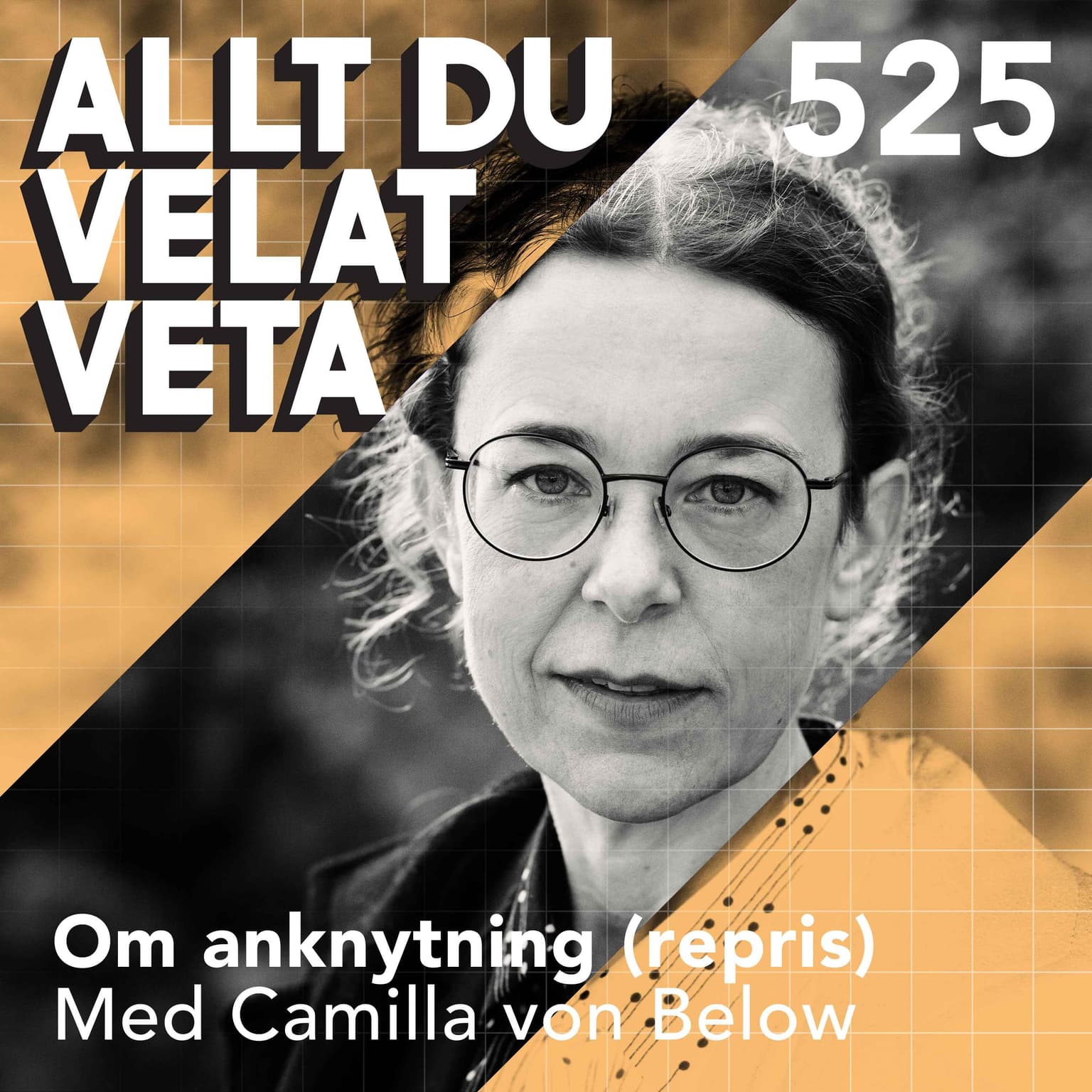 525 Om anknytning med Camilla von Below (repris) - anknytningsmönster bestämmer hur vi formar relationer som vuxna artwork