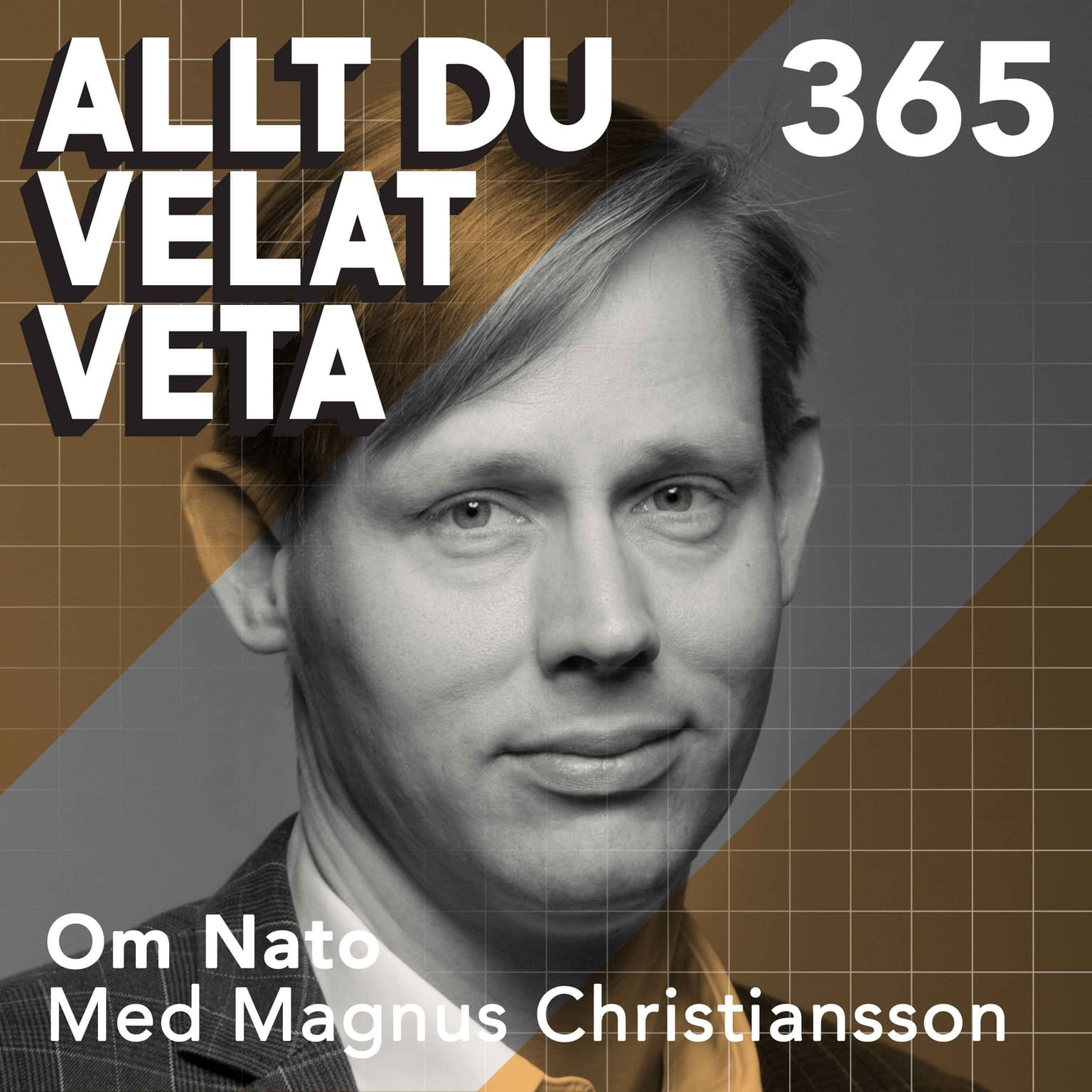 365 Om Nato med Magnus Christiansson artwork