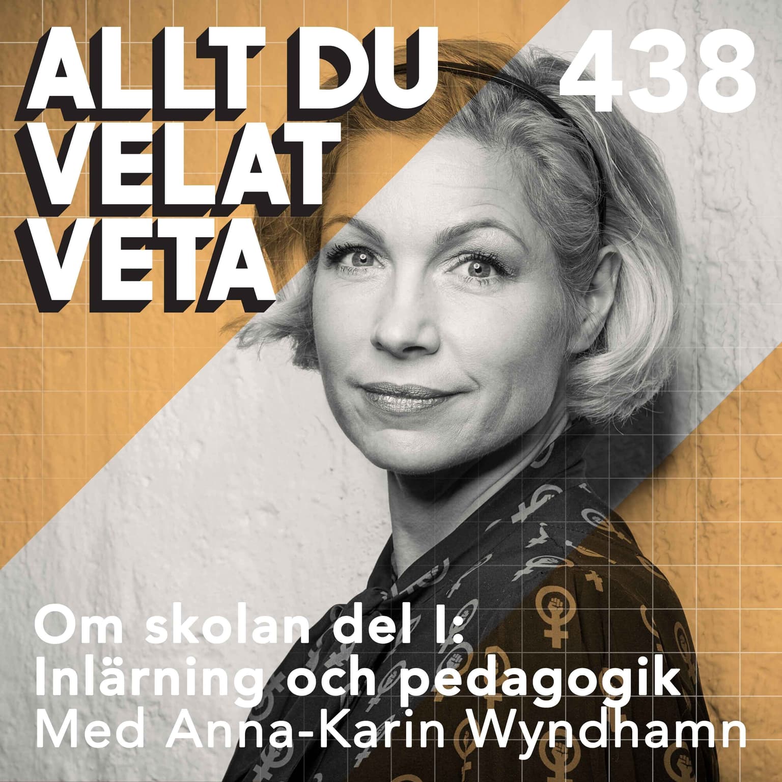 438 Om skolan del I: Inlärning och pedagogik med Anna-Karin Wyndhamn artwork