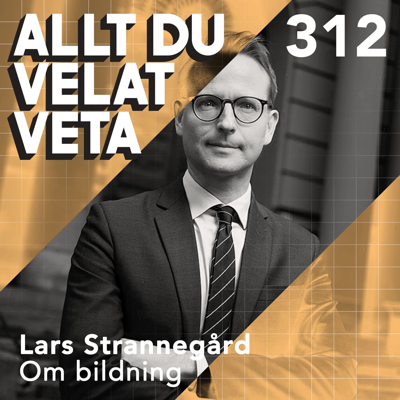 312 Om bildning med Lars Strannegård artwork