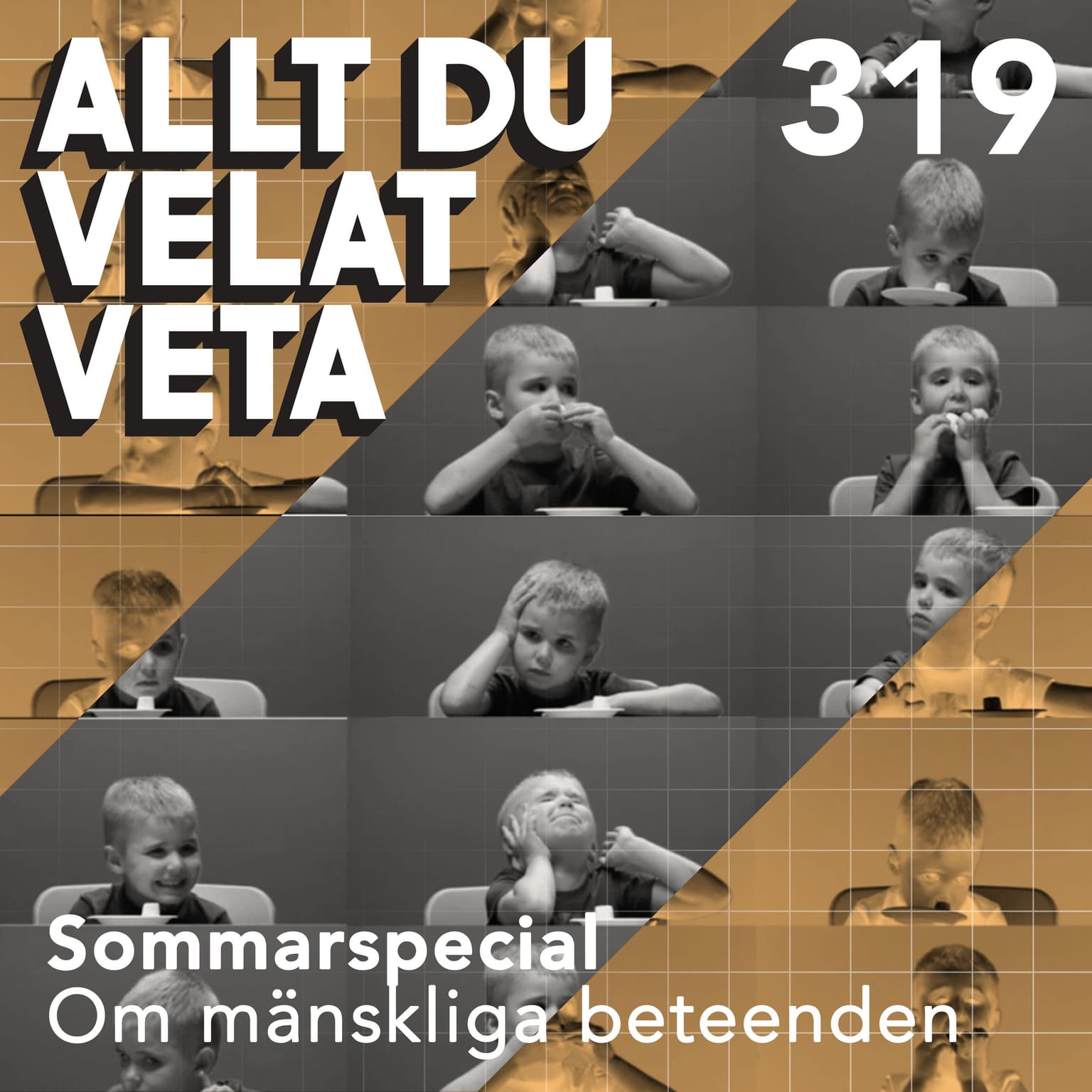 319 Sommarspecial om mänskliga beteenden artwork