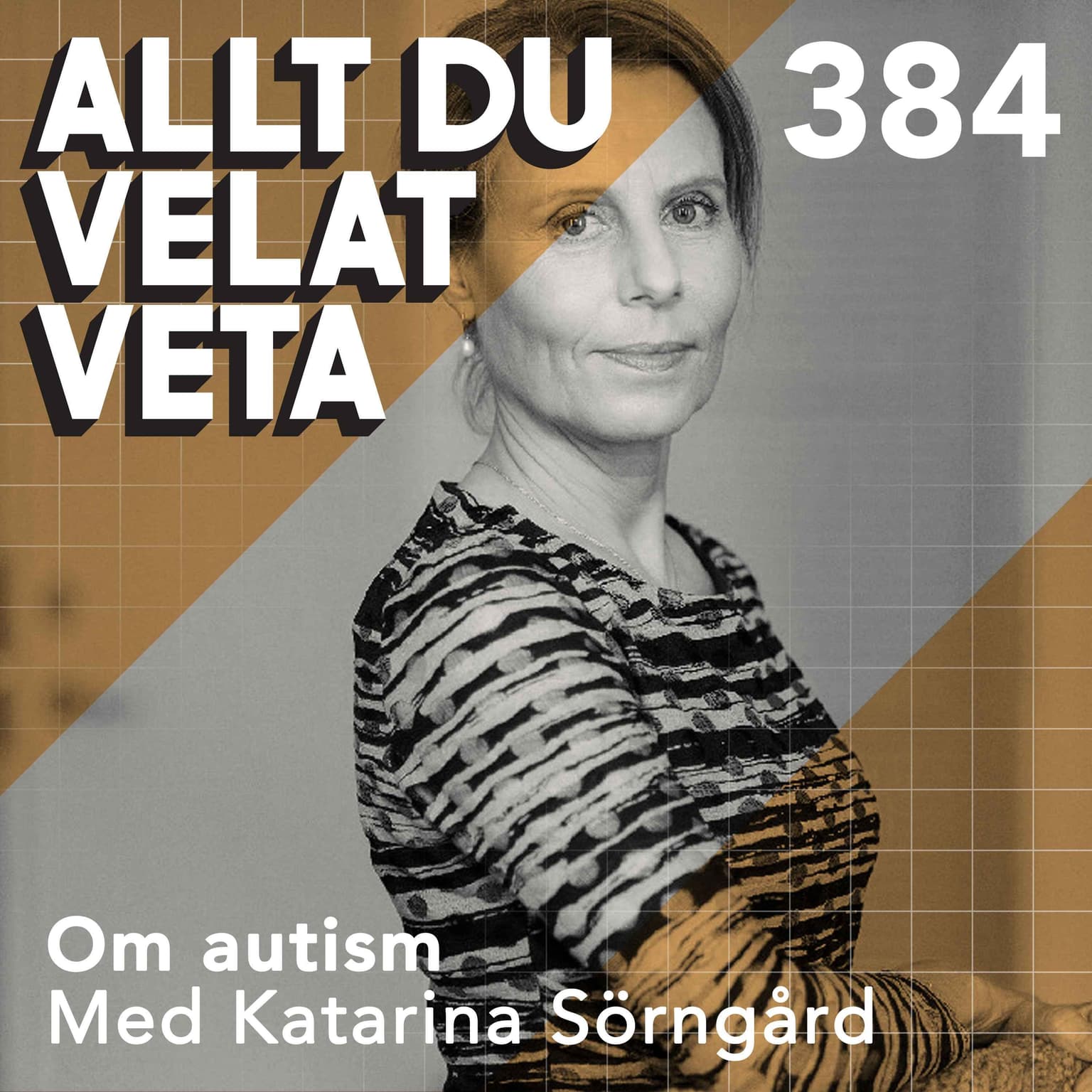 384 Om autism med Katarina Sörngård artwork