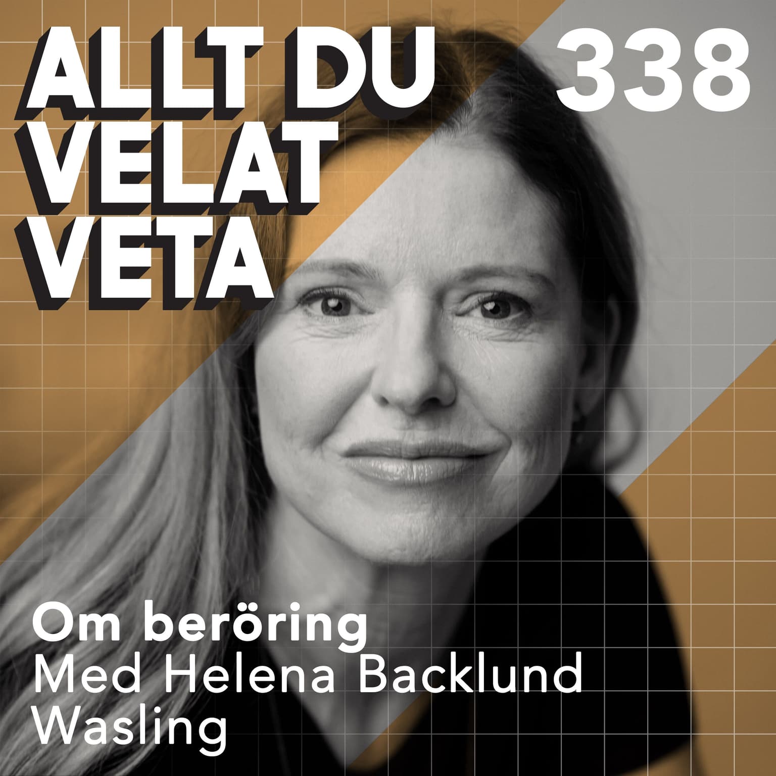 338 Om beröring med Helena Backlund Wasling artwork