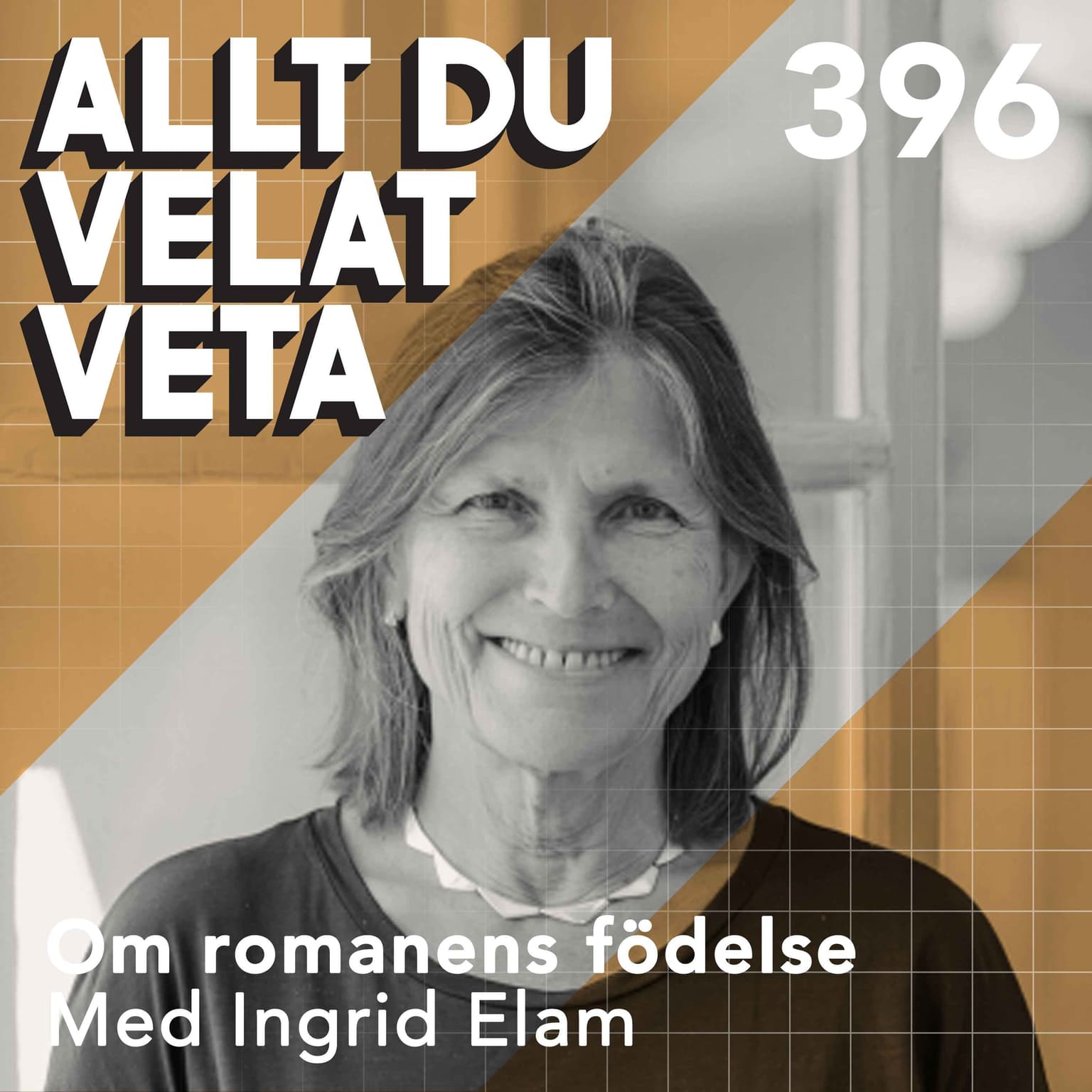 396 Om romanens födelse med Ingrid Elam artwork