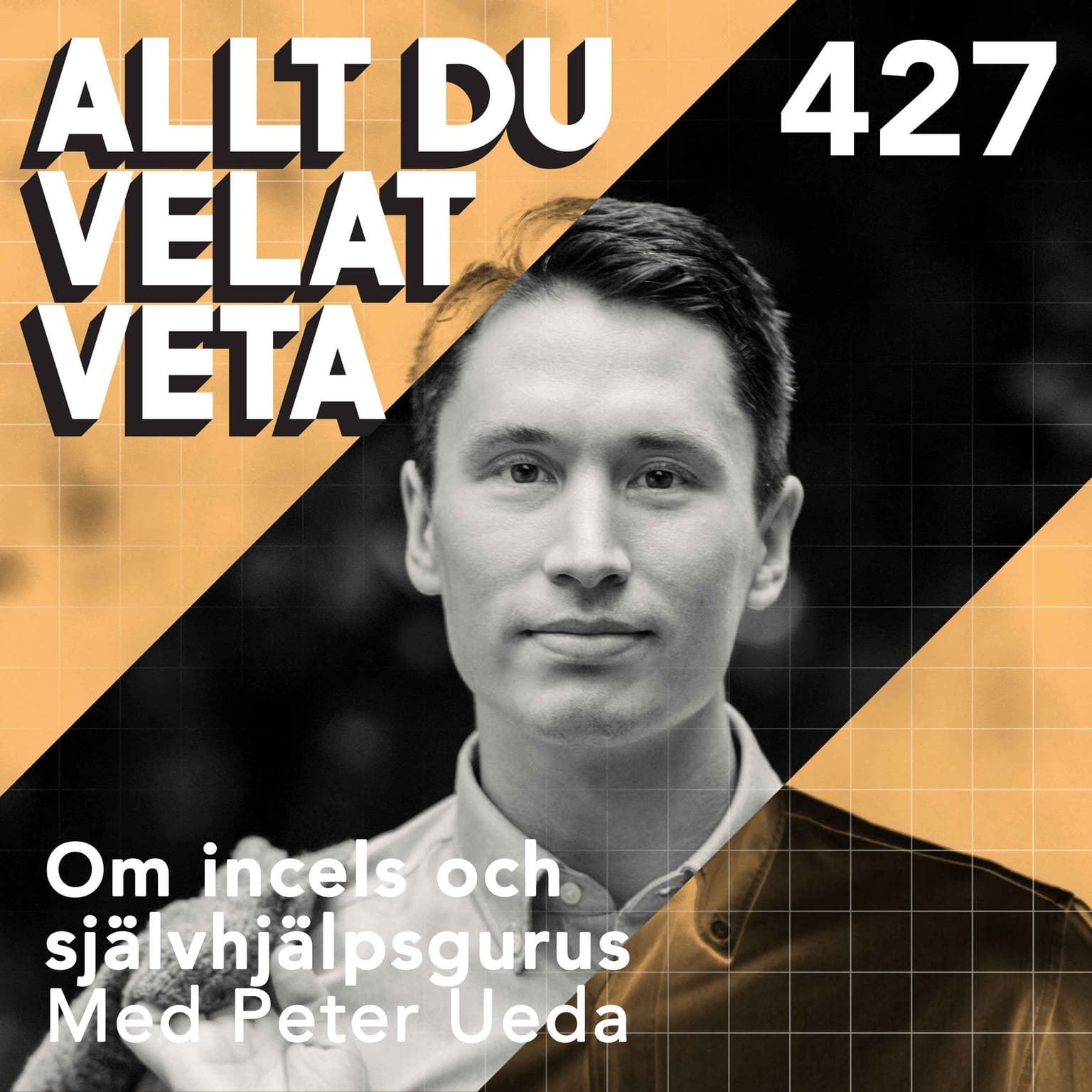 427 Om incels och självhjälpsgurus artwork