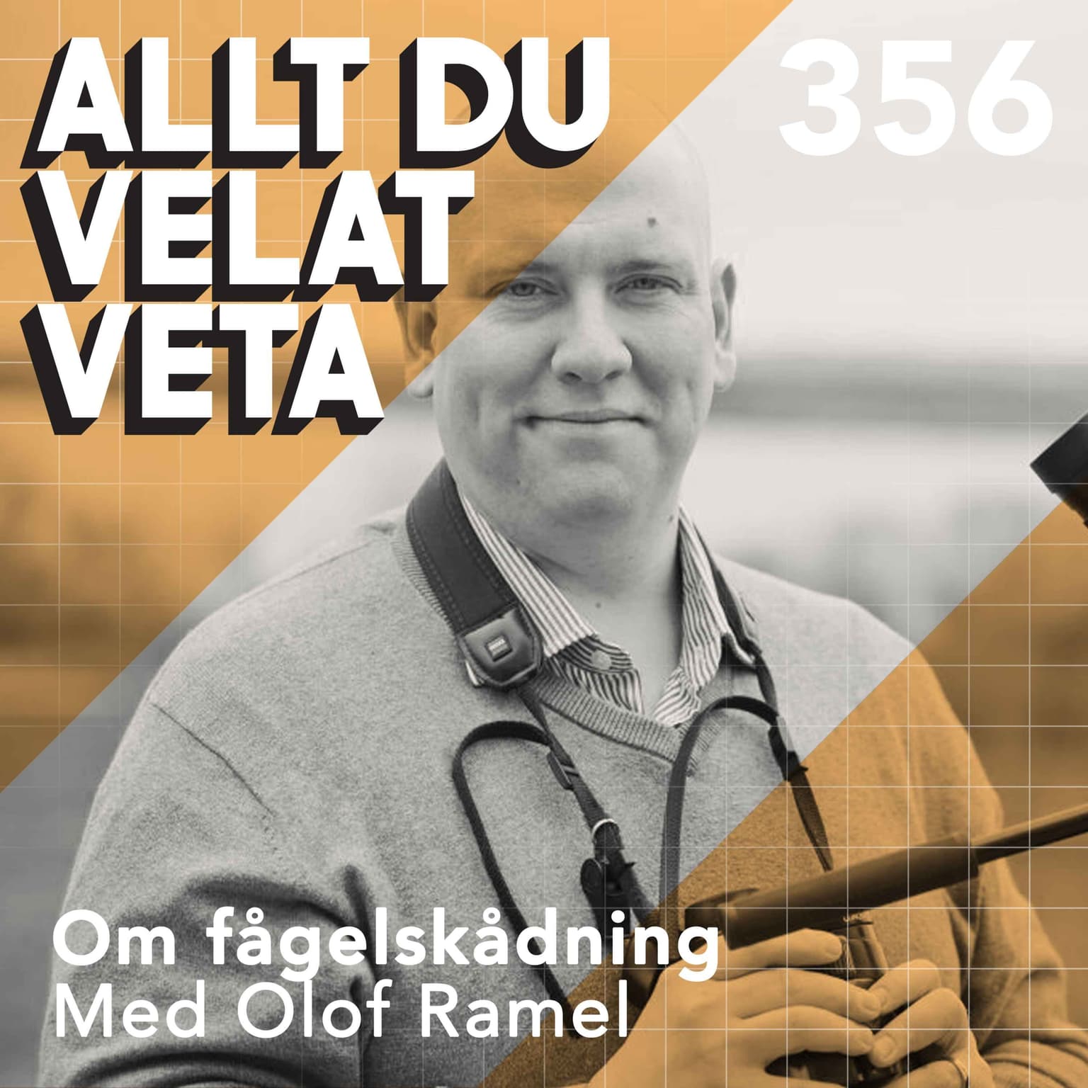 356 Om fågelskådning med Olof Ramel artwork