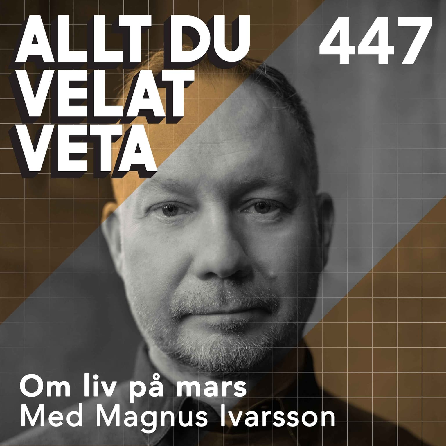447 Om liv på mars med Magnus Ivarsson artwork