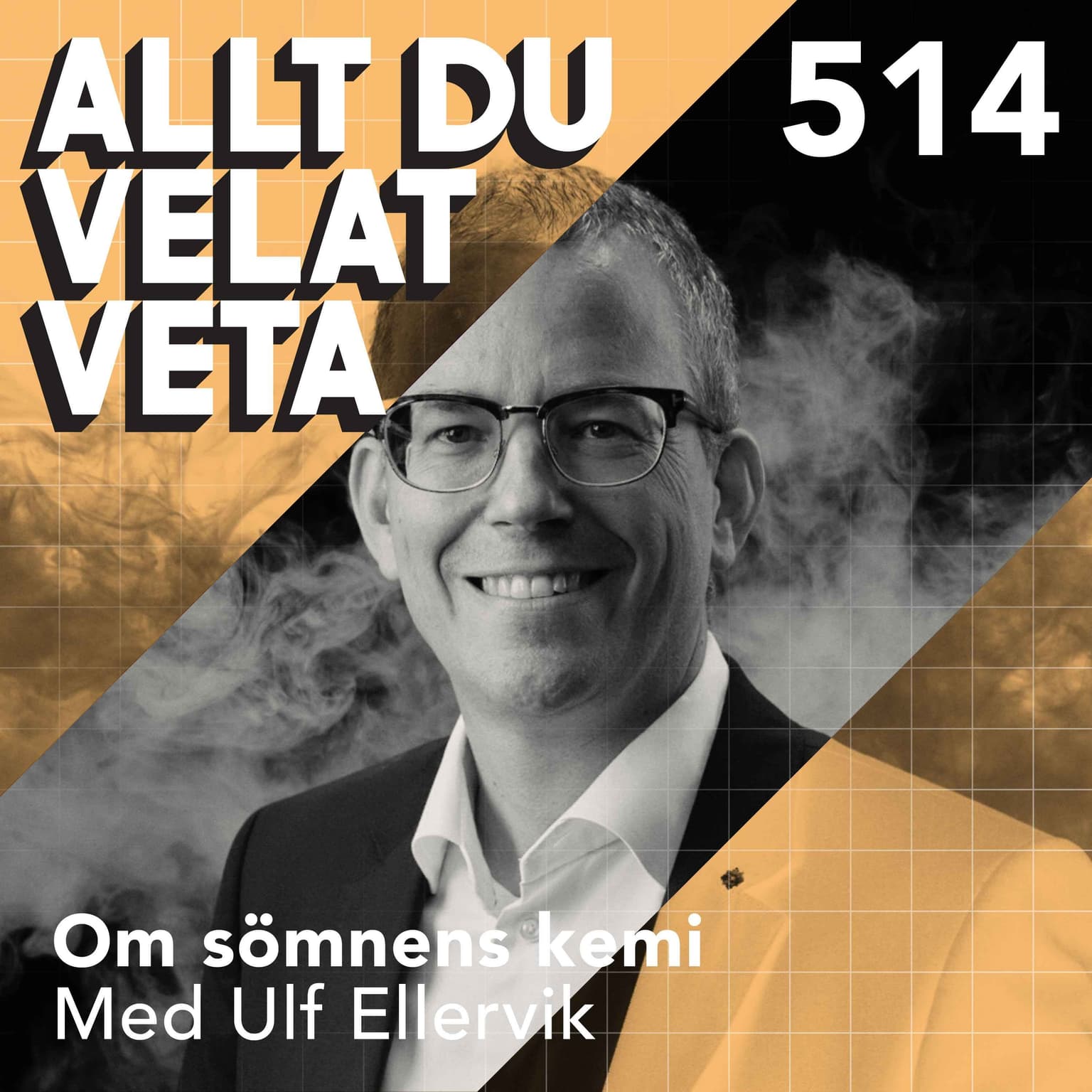514 Om sömnens kemi med Ulf Ellervik artwork
