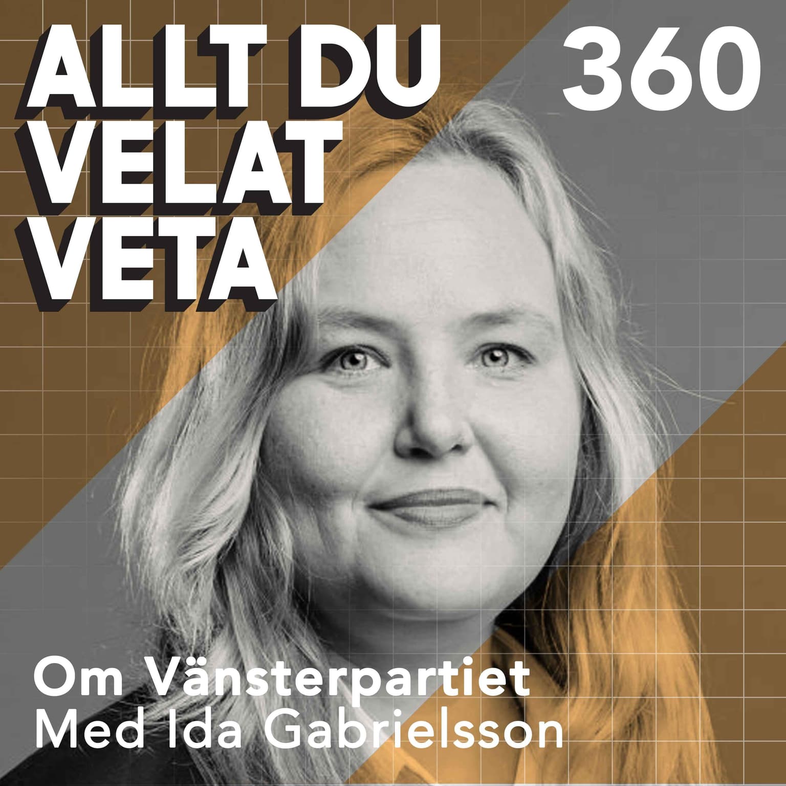 360 Om Vänsterpartiet med Ida Gabrielsson artwork