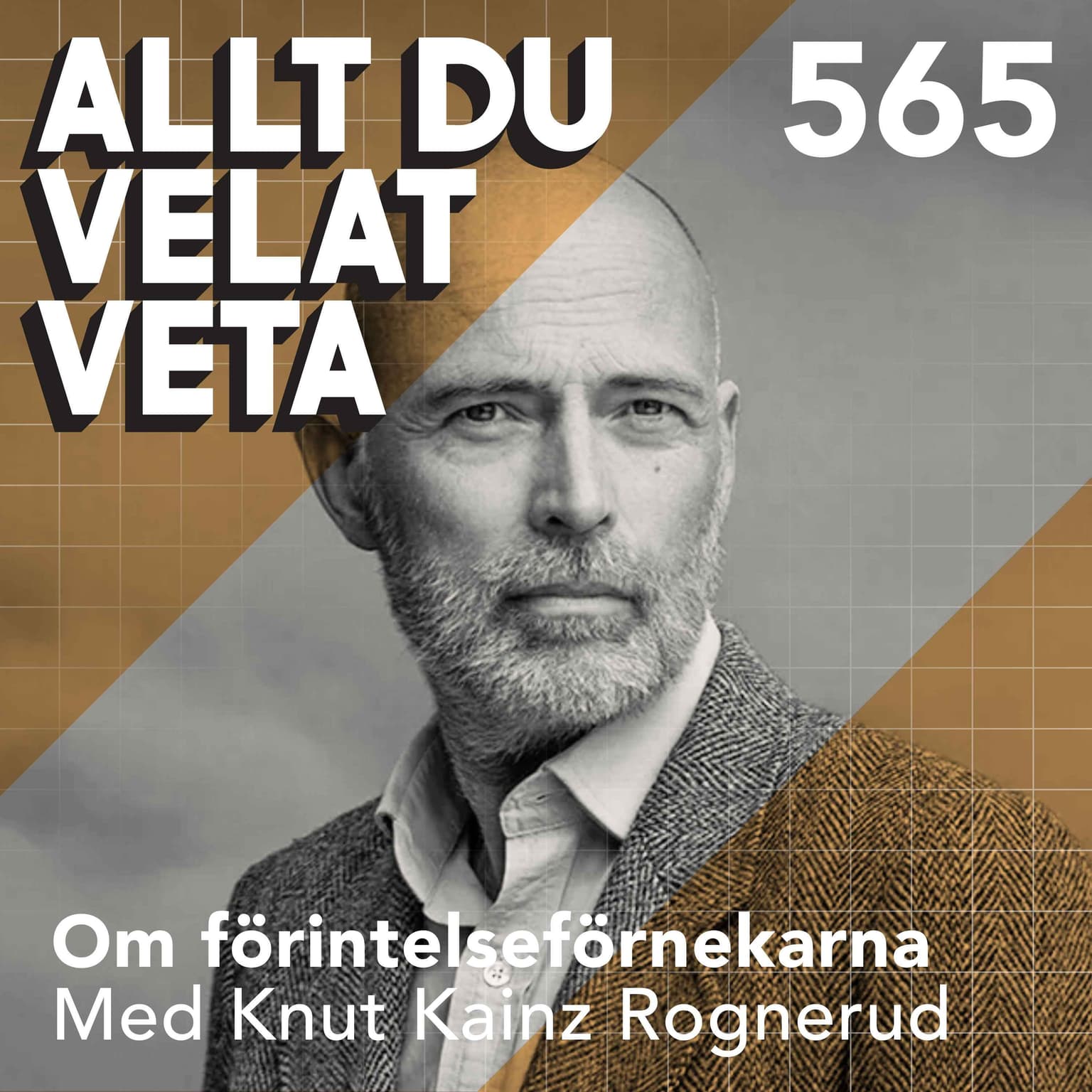 565 Om förintelseförnekarna med Knut Kainz Rognerud artwork