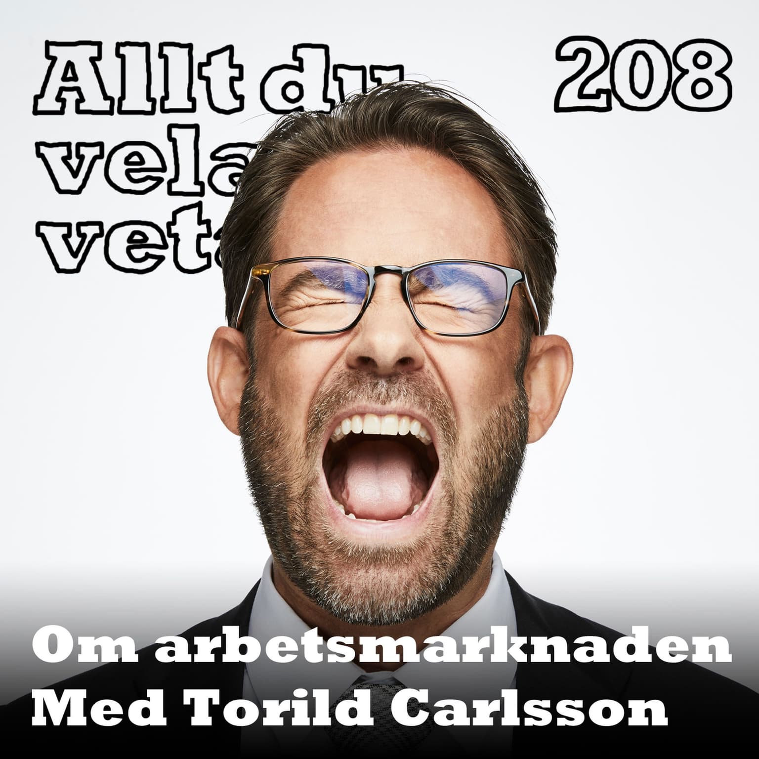 208 Om arbetsmarknaden med Torild Carlsson artwork