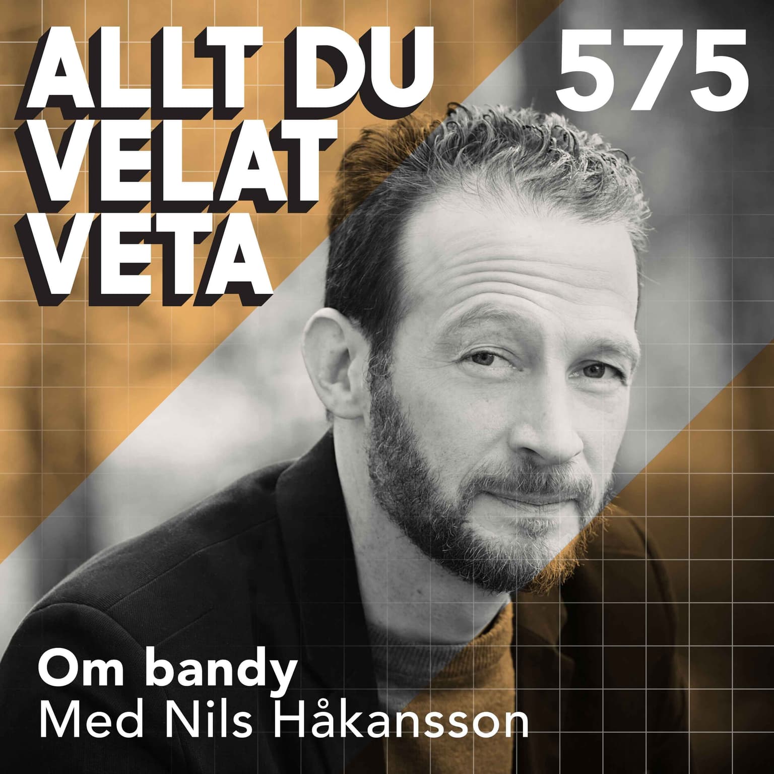 575 Om bandy med Nils Håkansson artwork