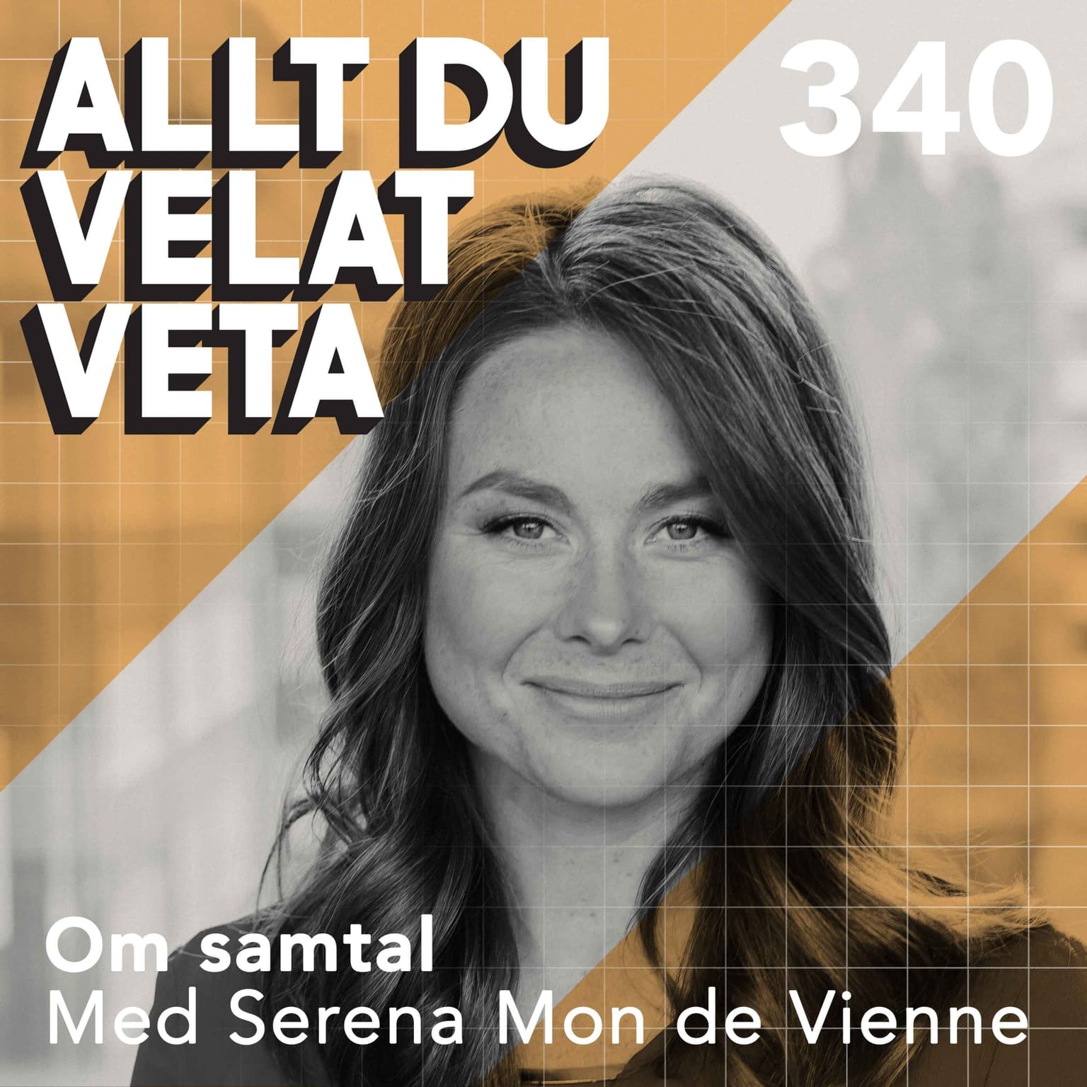 340 Om samtal med Serena Mon de Vienne artwork