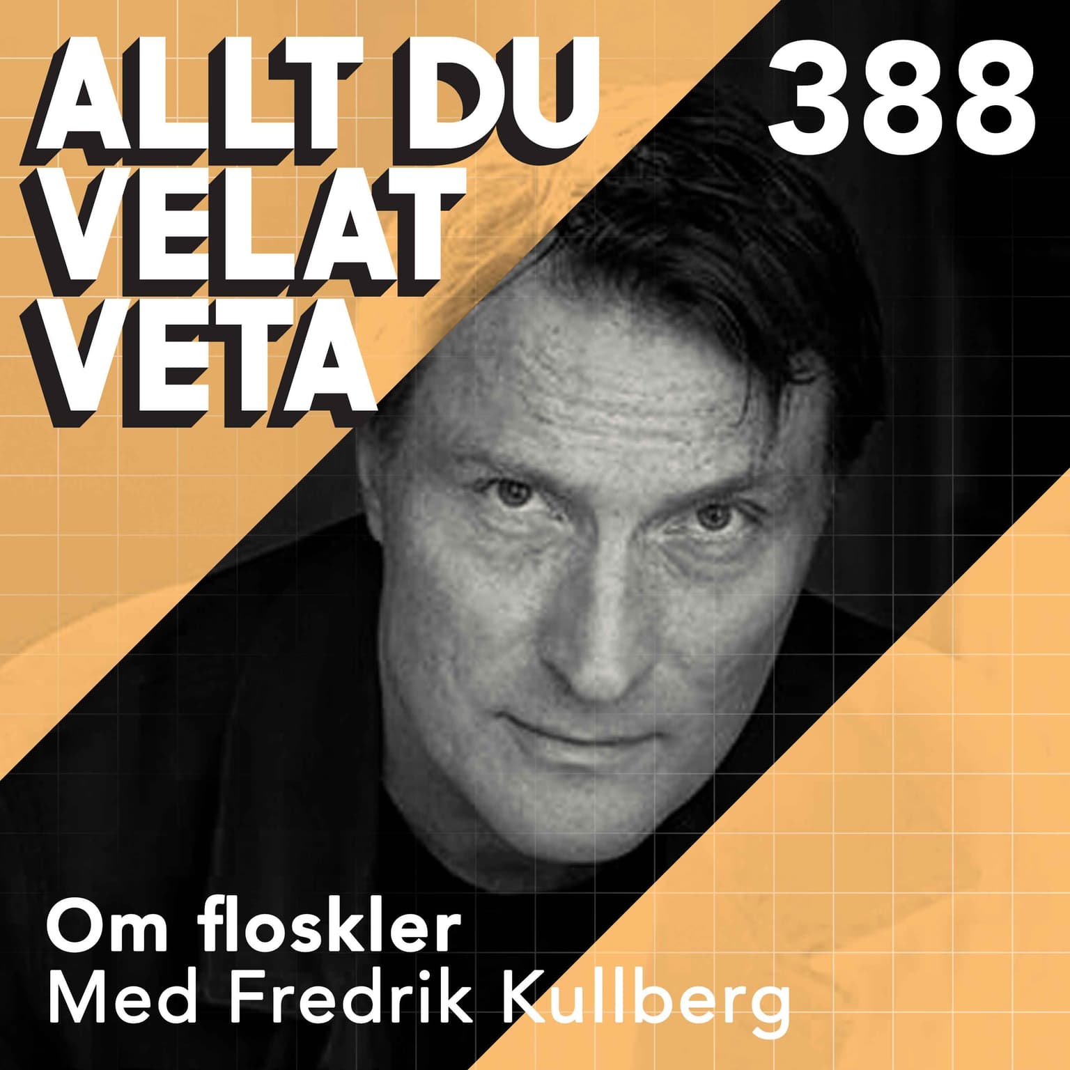 388 Om floskler med Fredrik Kullberg artwork