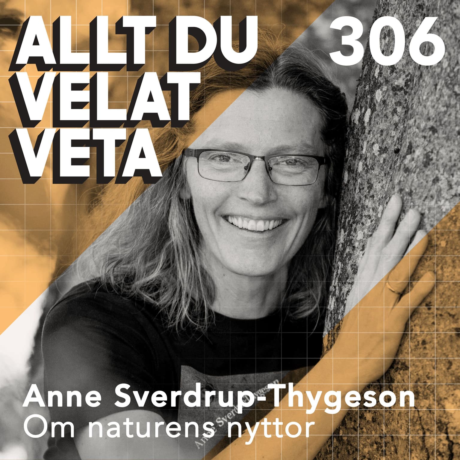 306 Om naturens nyttor med Anne Sverdrup-Thygeson artwork