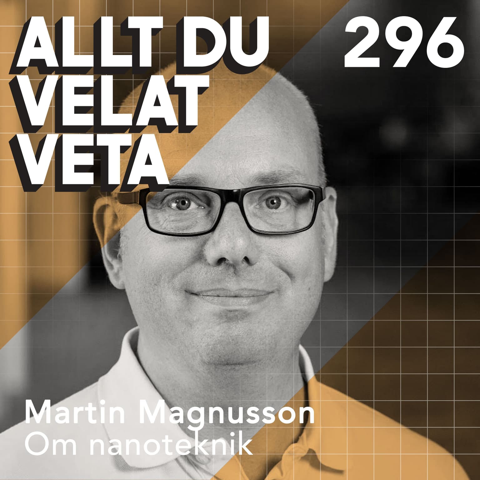296 Om nanoteknik med Martin Magnusson artwork