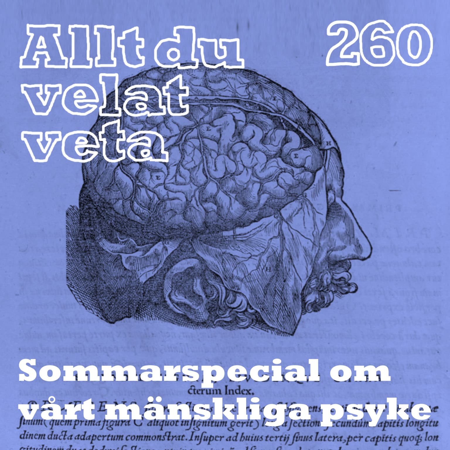 260 Sommarspecial om vårt mänskliga psyke artwork