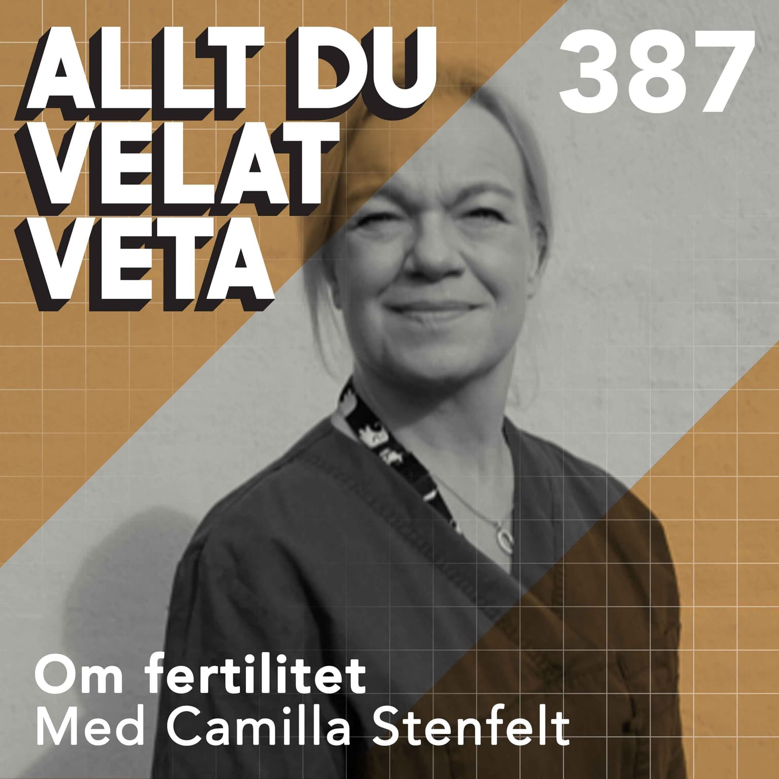 387 Om fertilitet med Camilla Stenfelt artwork