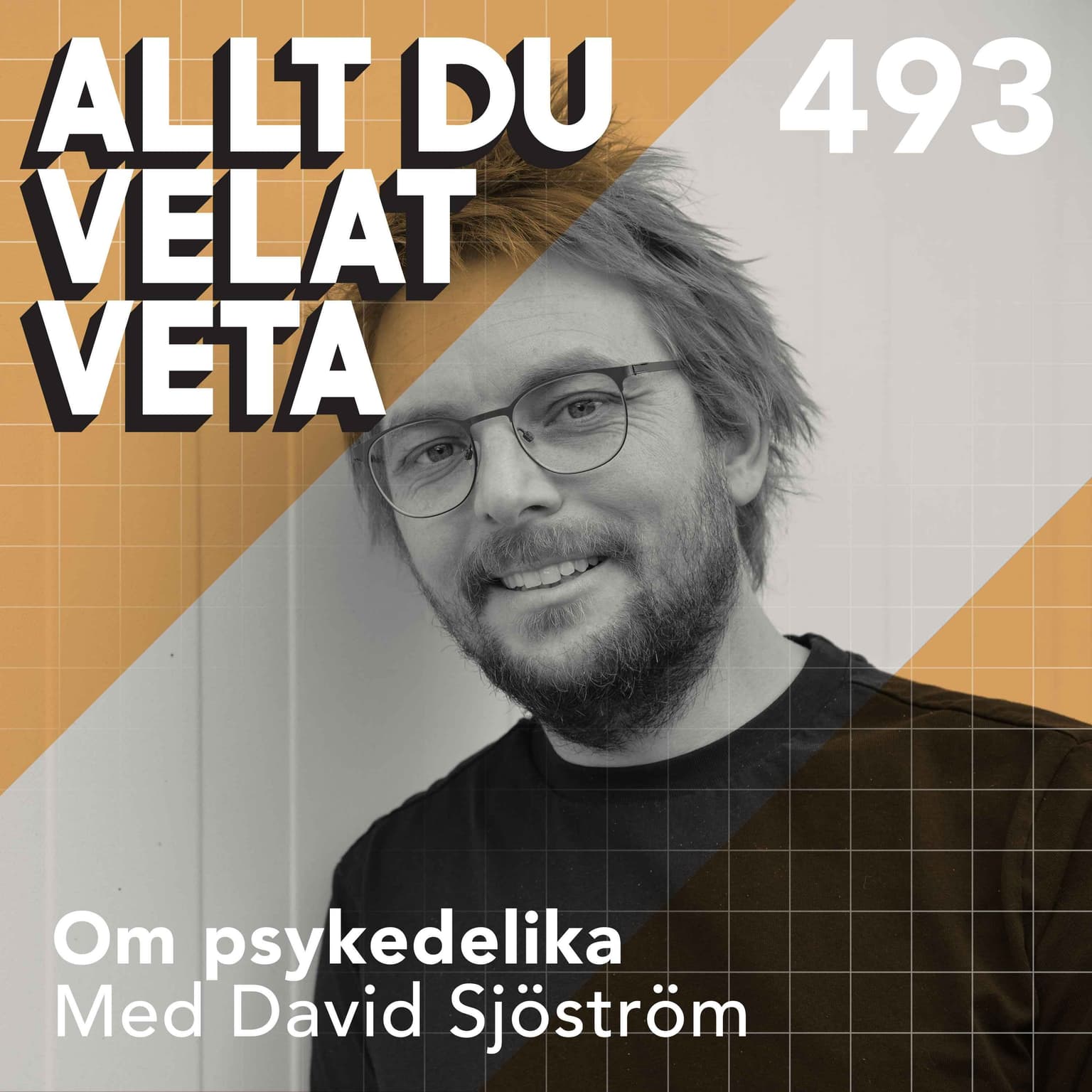 493 Om psykedelika med David Sjöström artwork