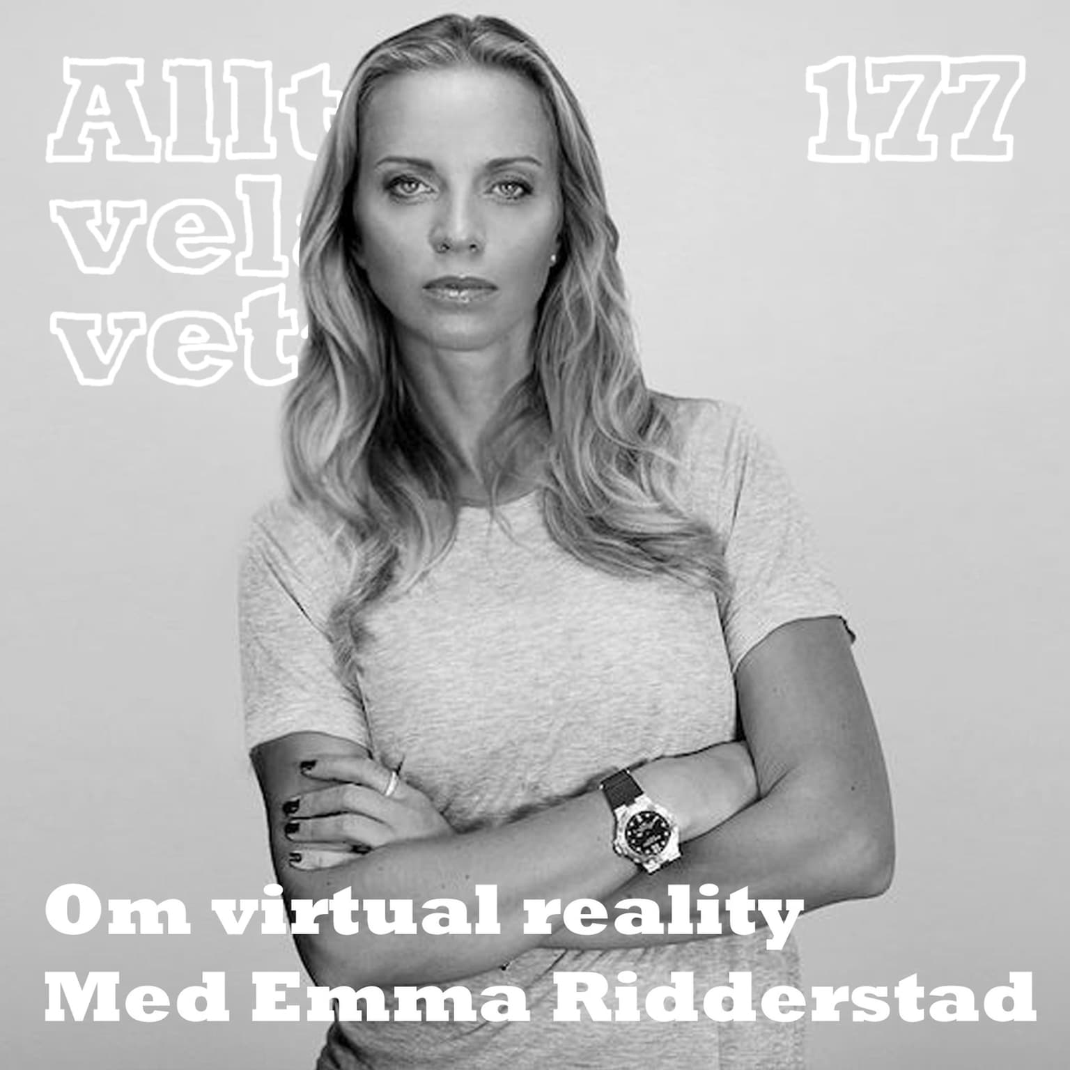 177 Om virtual reality med Emma Ridderstad artwork