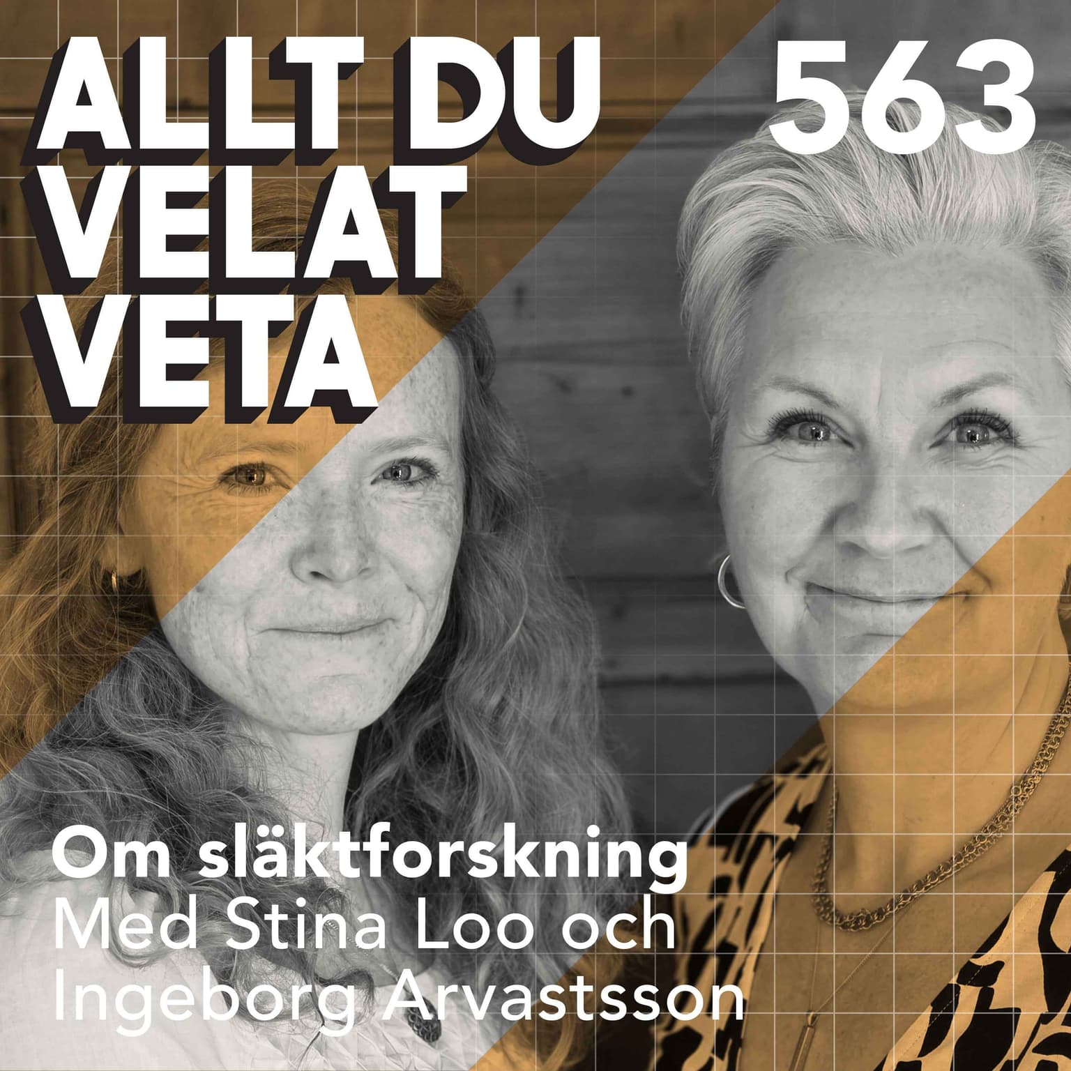 563 Om släktforskning med Stina Loo och Ingeborg Arvastsson artwork