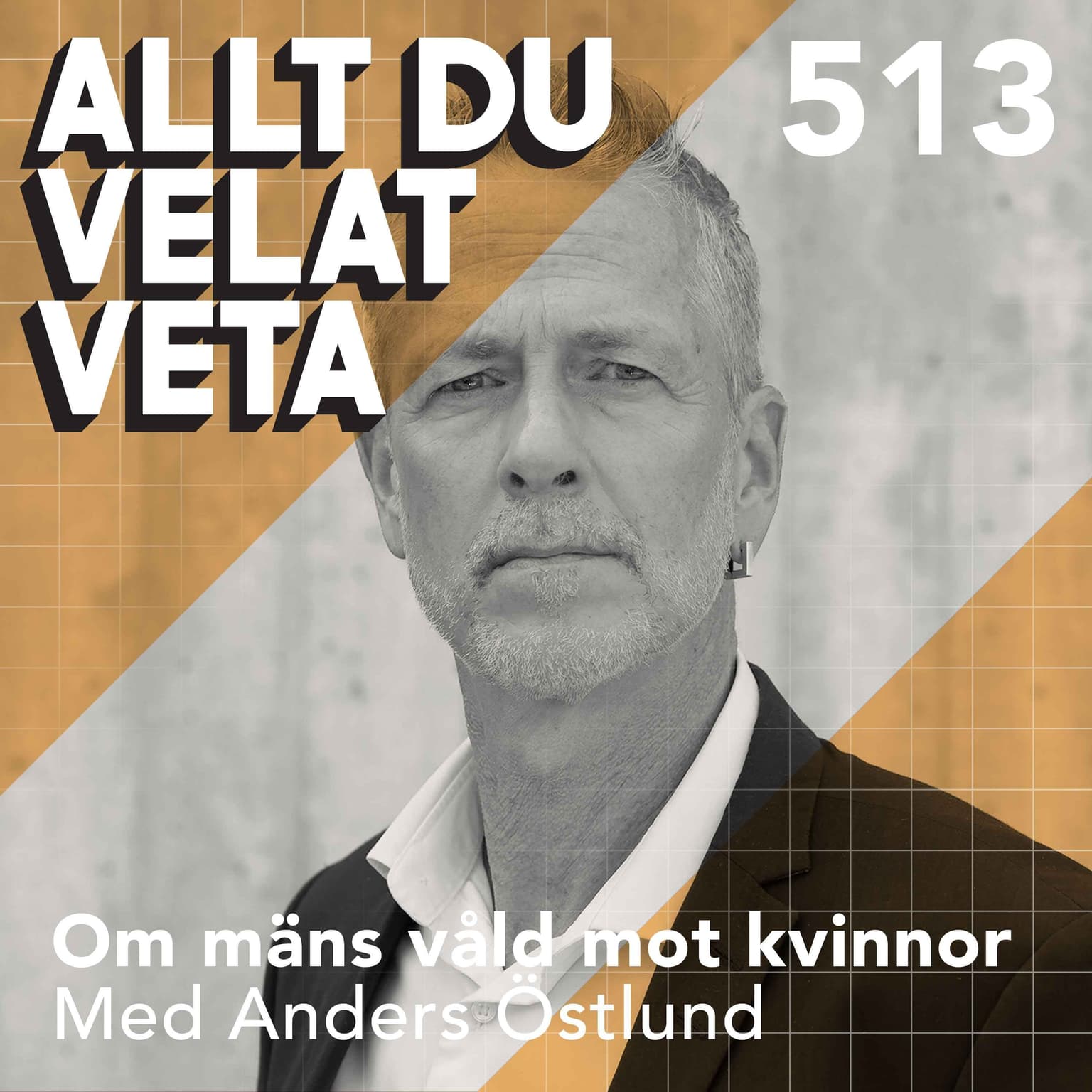 513 Om mäns våld mot kvinnor med Anders Östlund artwork