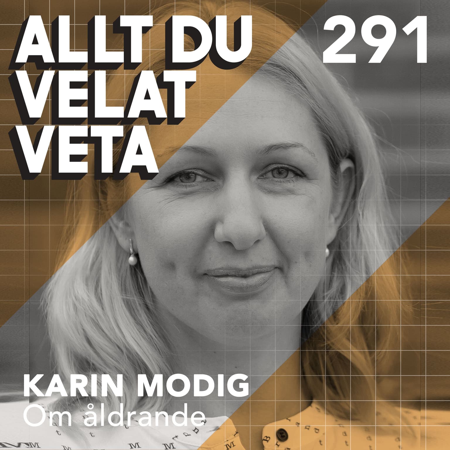 291 Om åldrande med Karin Modig artwork